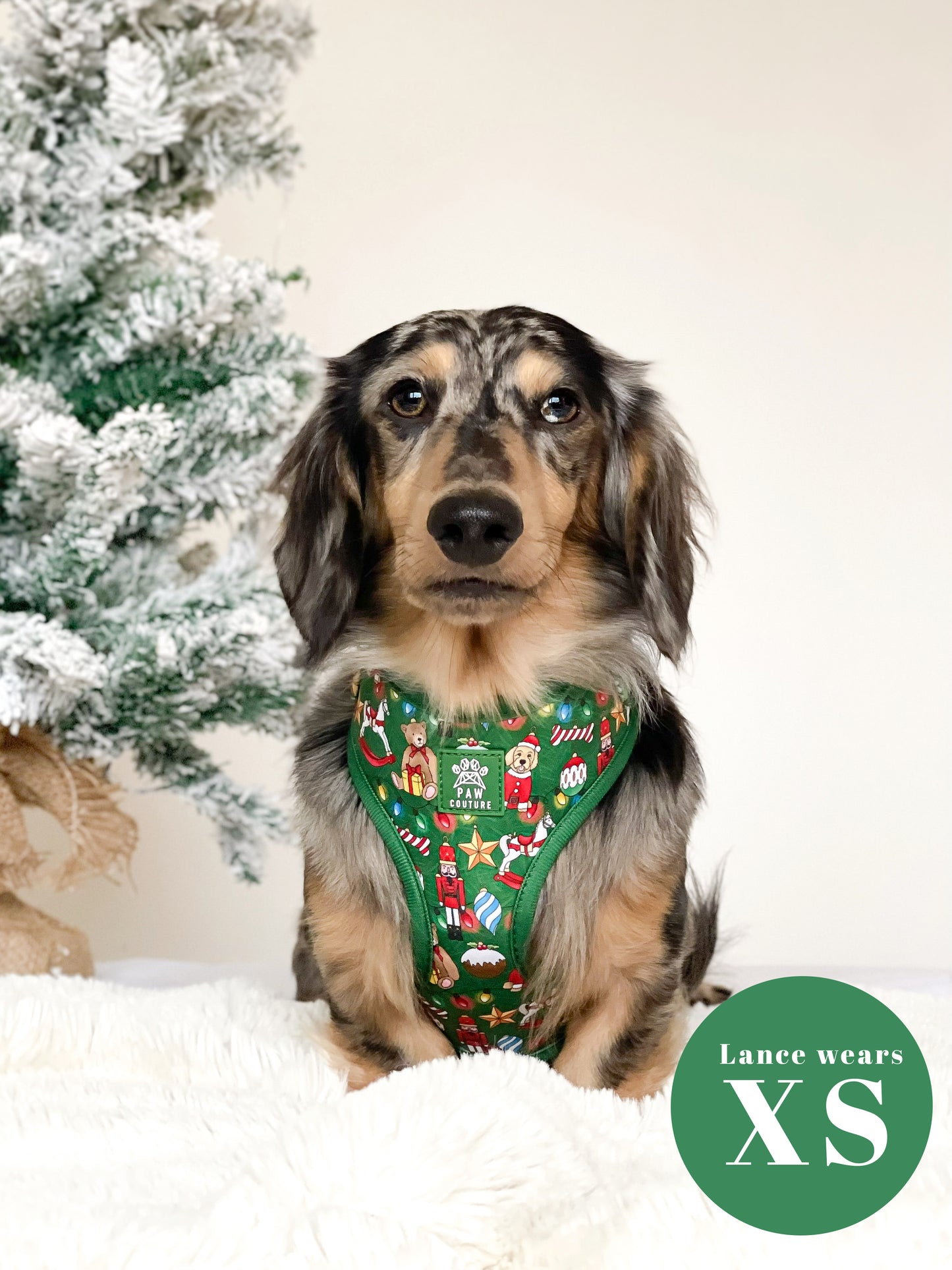 O' Christmas Tree Adjustable Harness & Lead Bundle