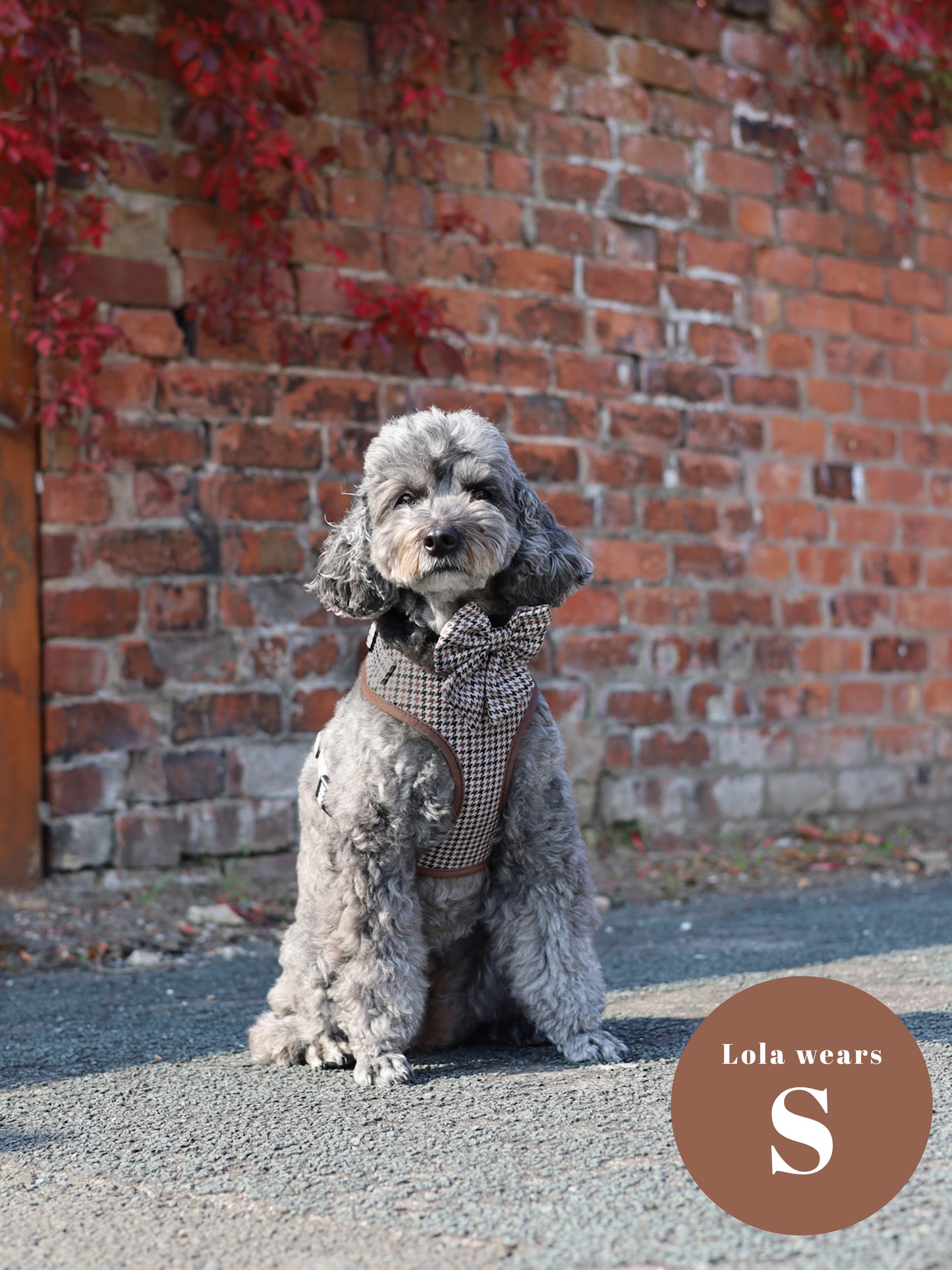 Country Houndstooth Adjustable Harness & Lead Bundle
