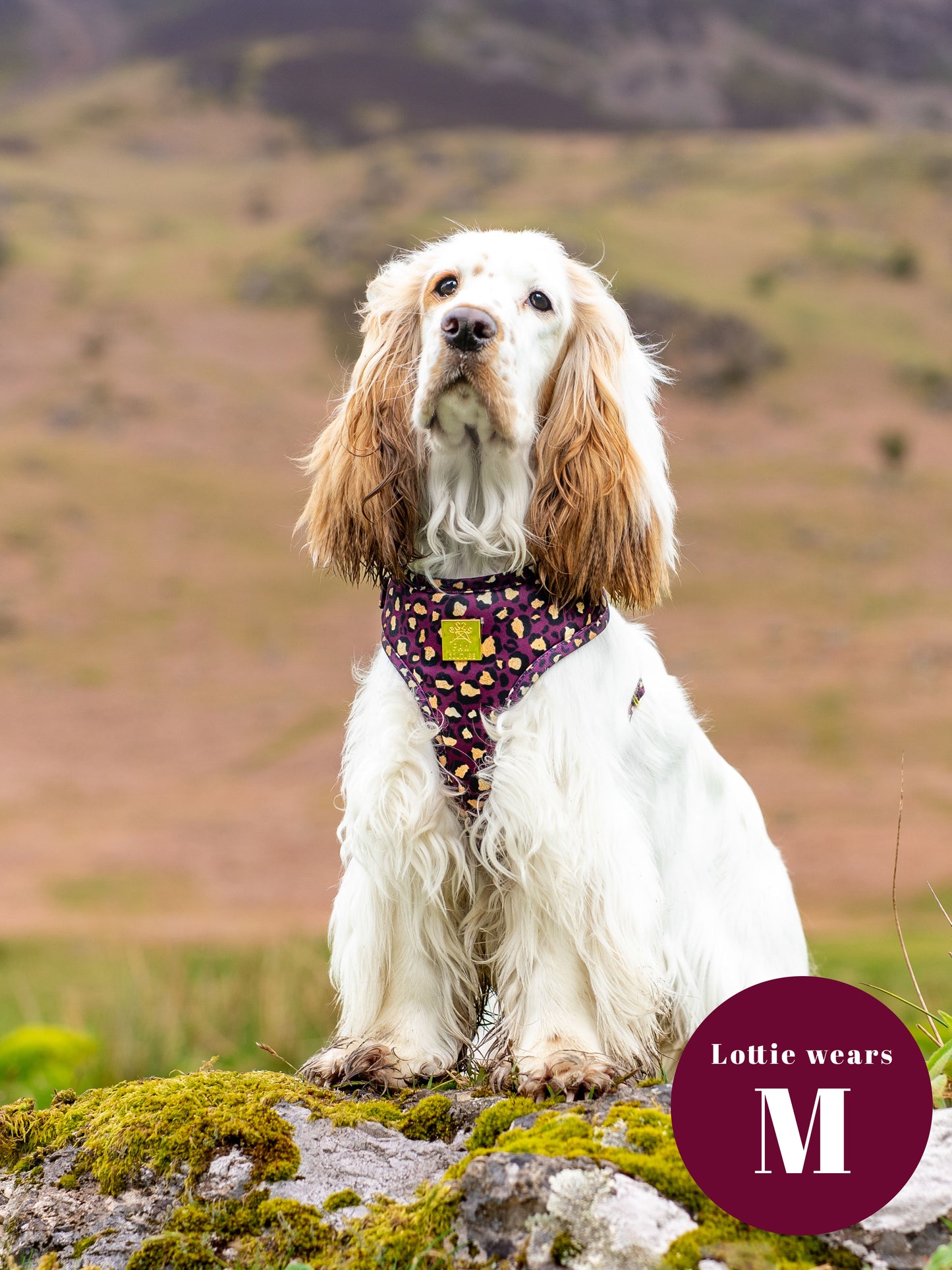 Amethyst Safari Deluxe Adjustable Harness