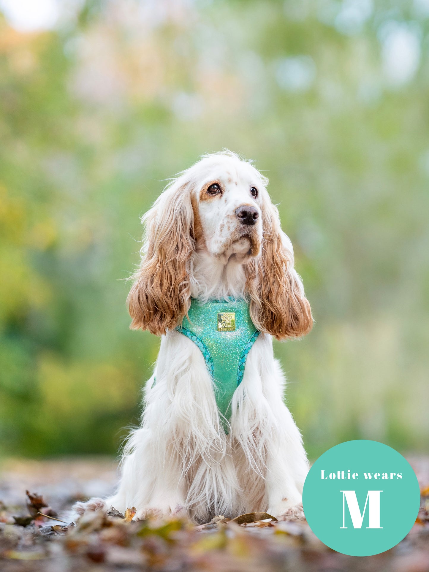 Fantasy Deluxe Adjustable Harness & Lead Bundle