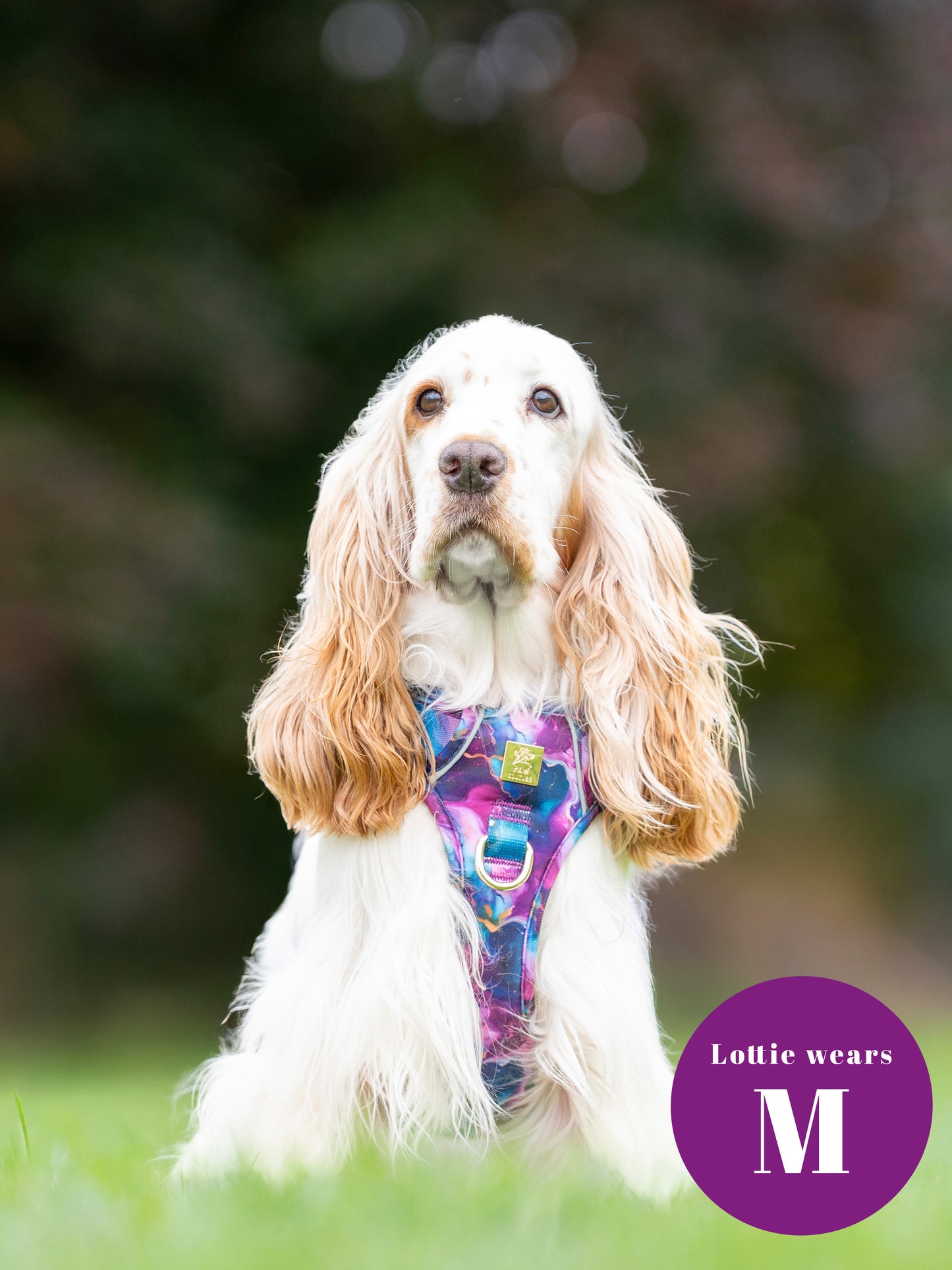 Cosmos Deluxe Five Piece Walkies Bundle - Save £20