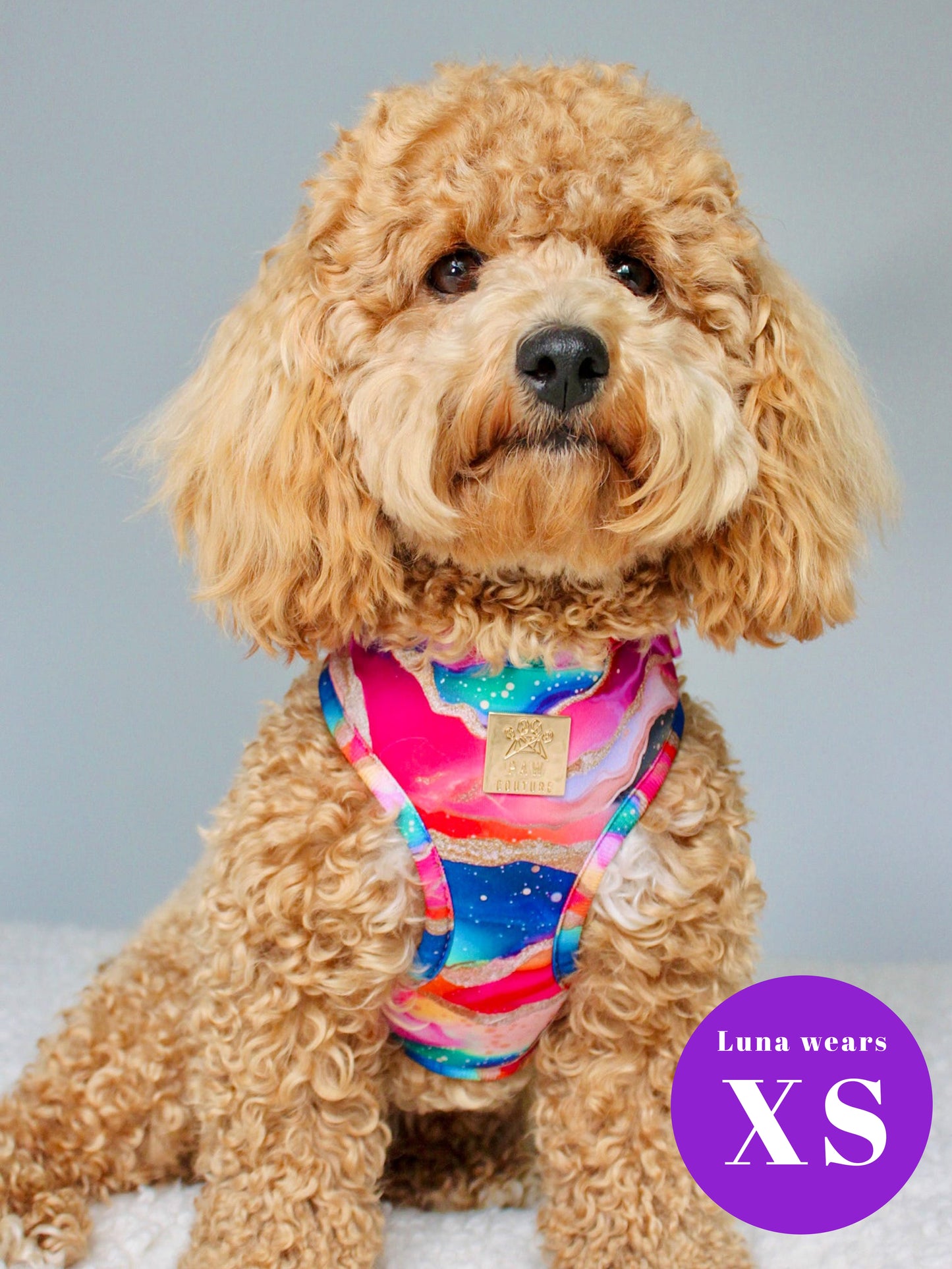 Rainbow Agate Deluxe Adjustable Harness