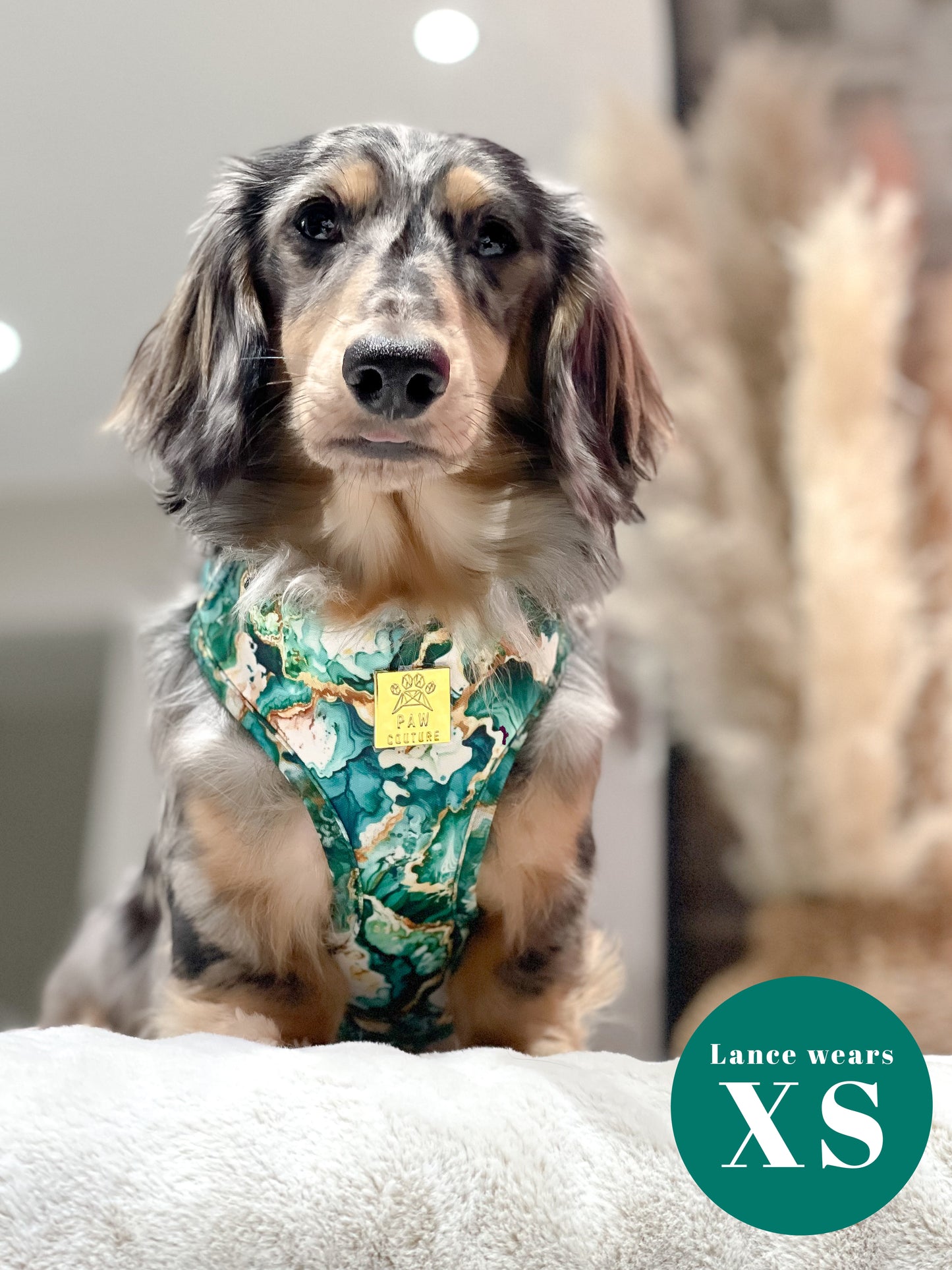 Geode Deluxe Adjustable Harness