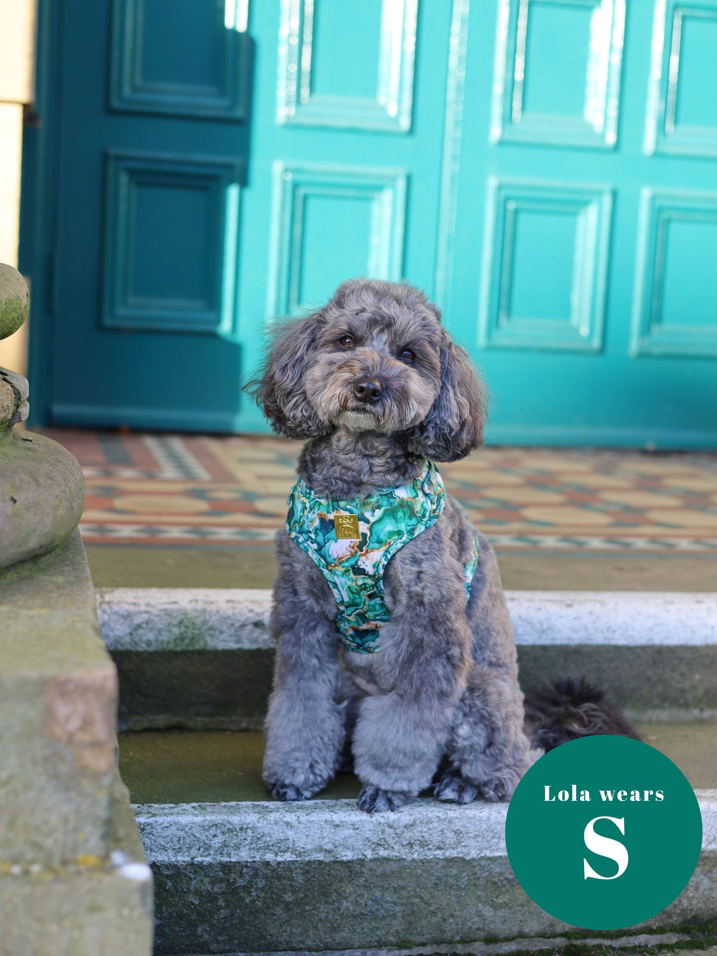 Geode Deluxe Adjustable Harness