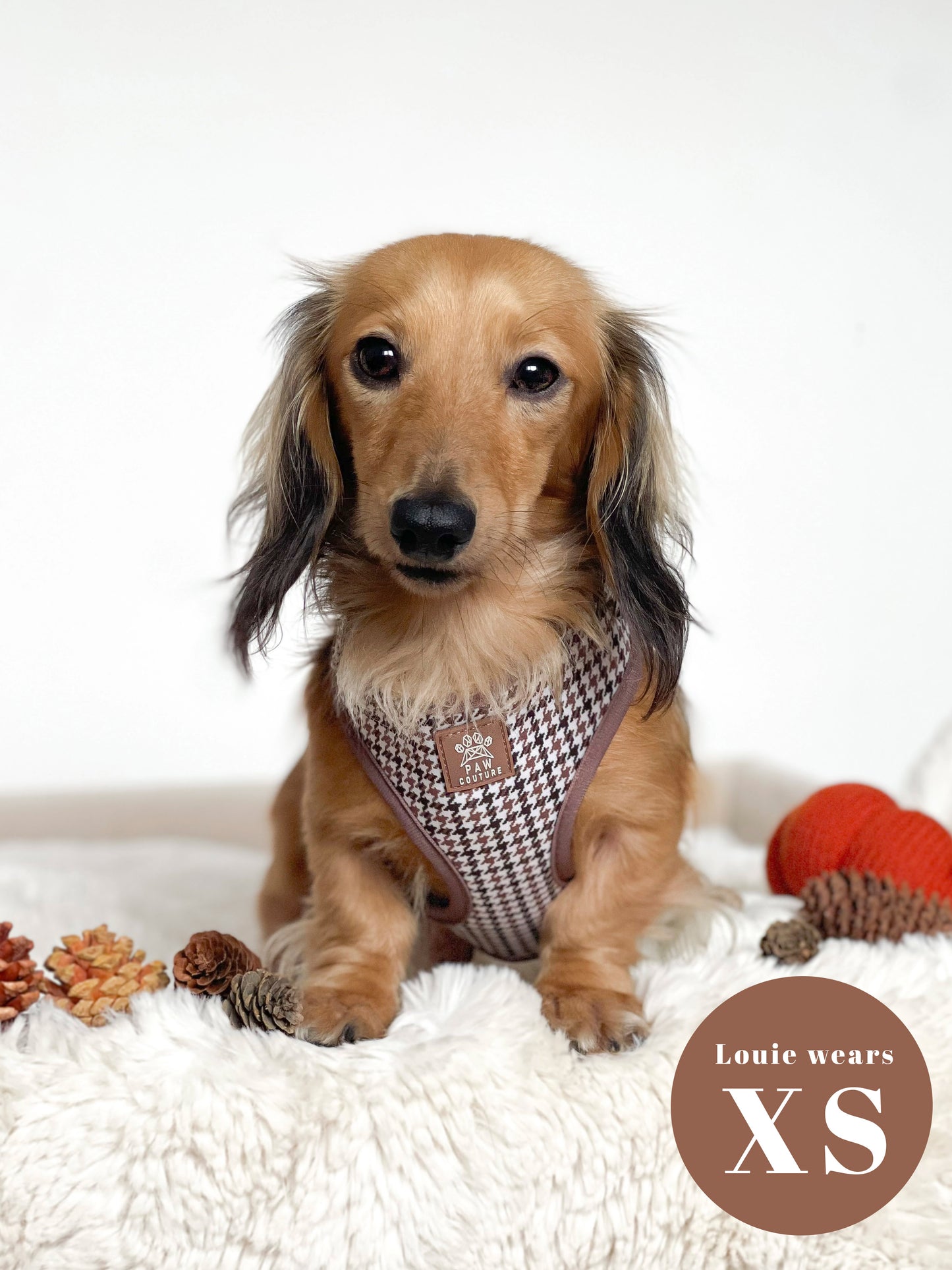 Country Houndstooth Adjustable Harness & Lead Bundle