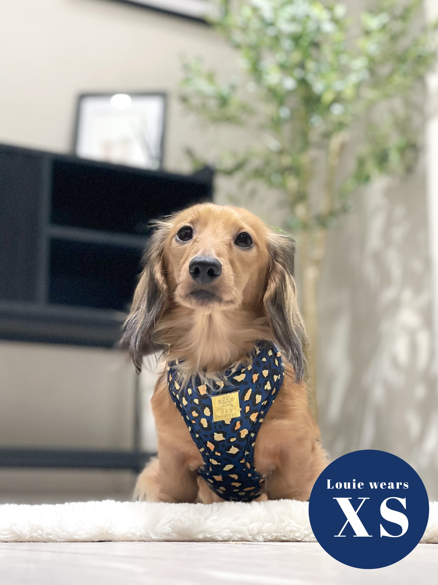 Sapphire Safari Deluxe Five Piece Walkies Bundle - Save £20