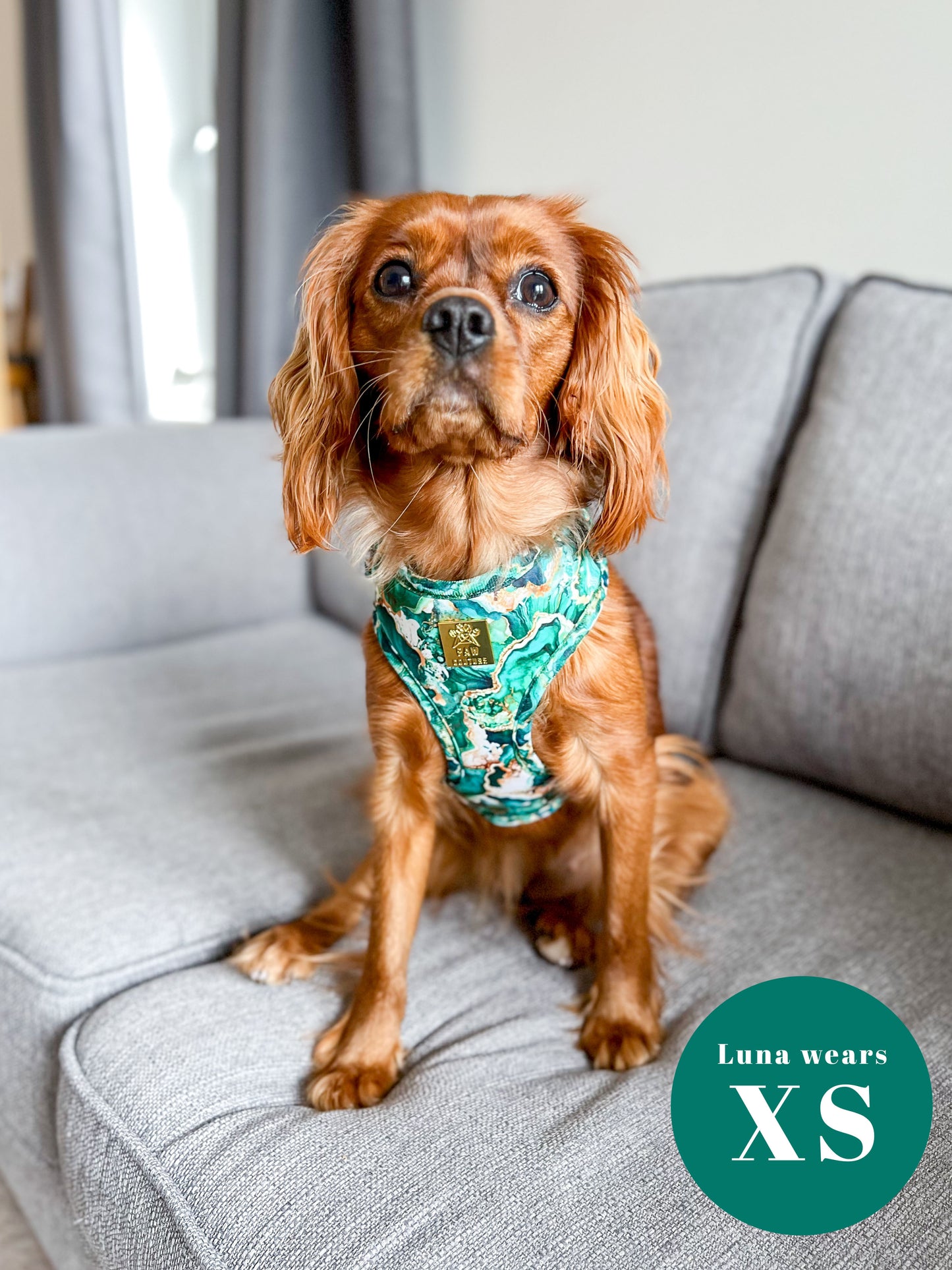 Geode Deluxe Adjustable Harness