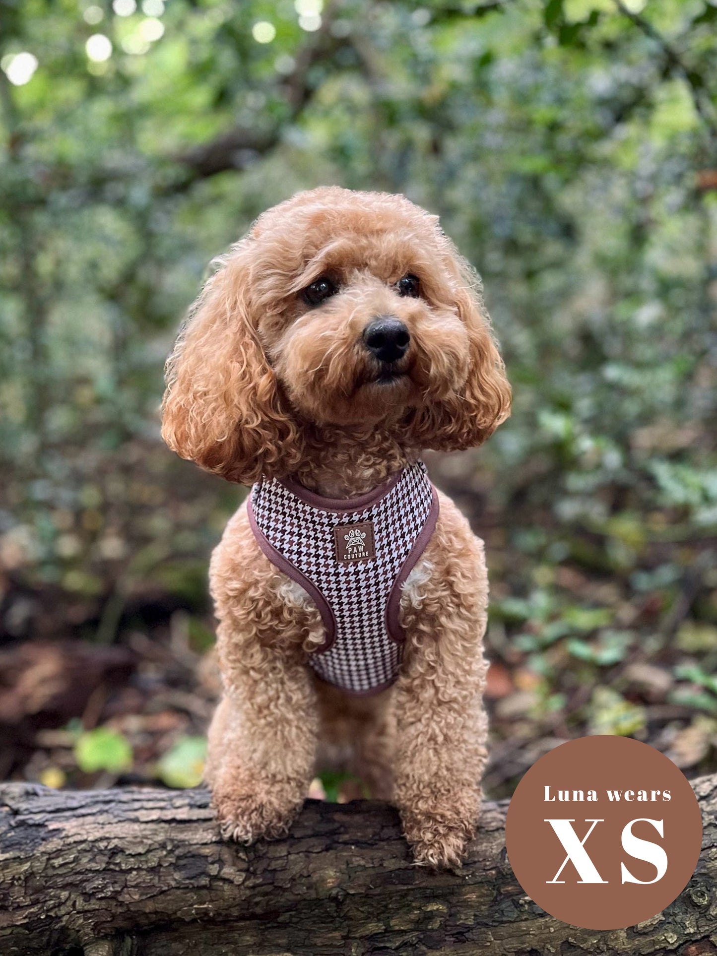 Country Houndstooth Adjustable Harness & Lead Bundle