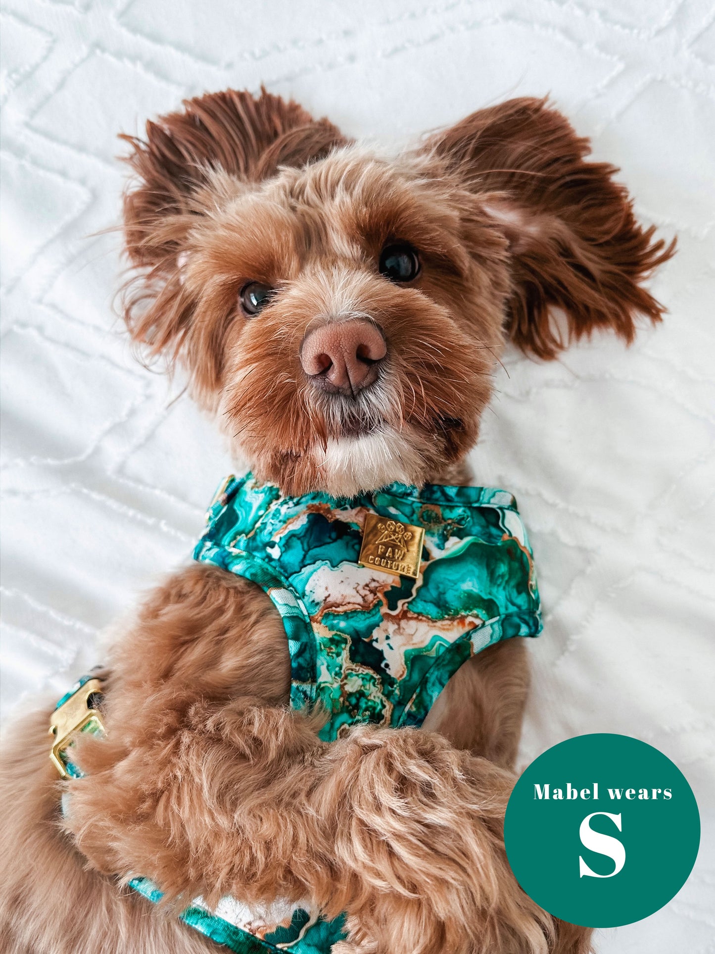Geode Deluxe Adjustable Harness & Lead Bundle