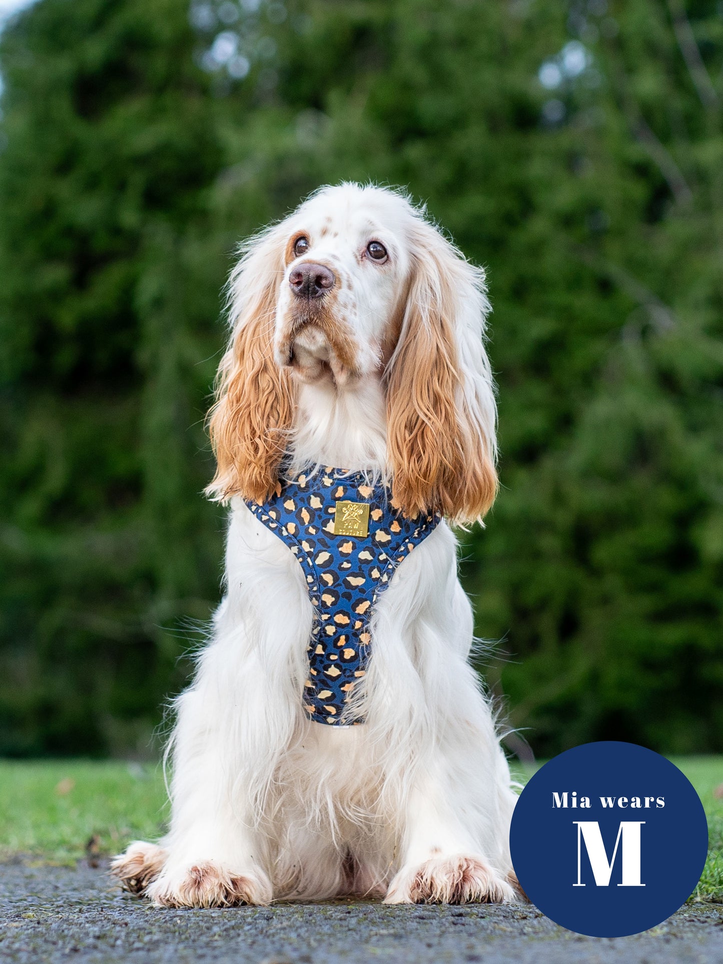 Sapphire Safari Deluxe Five Piece Walkies Bundle - Save £20