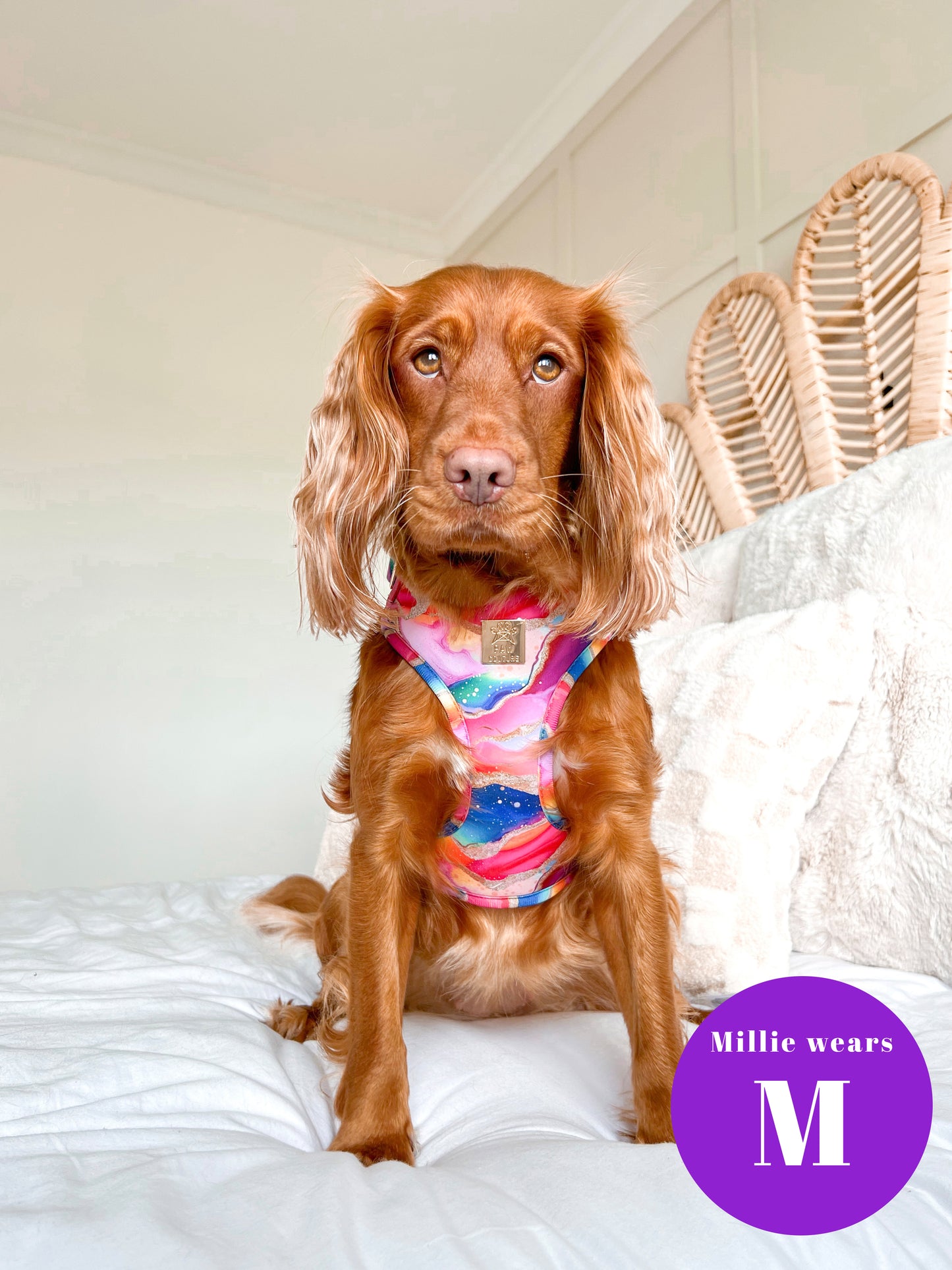 Rainbow Agate Deluxe Adjustable Harness