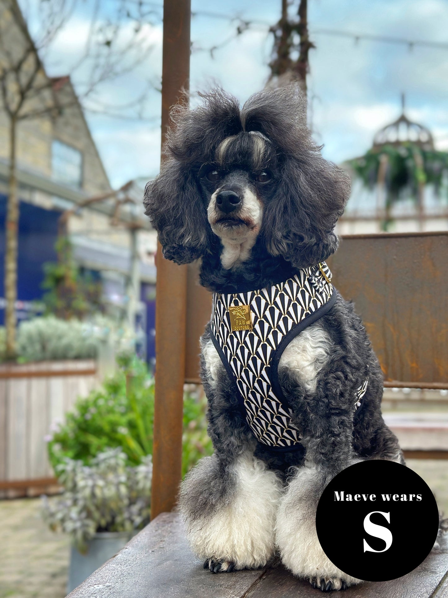 Gatsby Deluxe Adjustable Harness & Lead Bundle