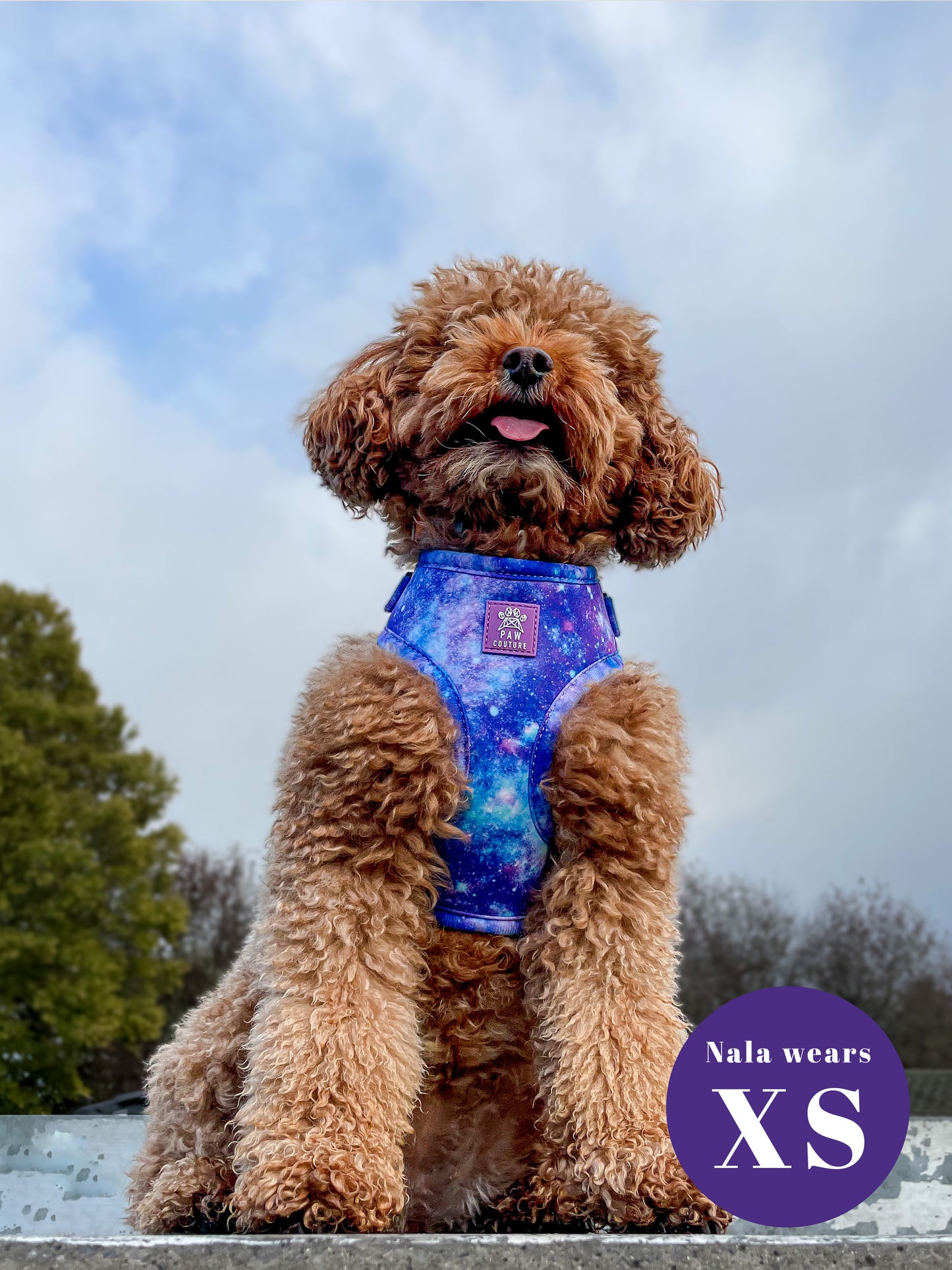 Galaxy Five Piece Walkies Bundle - Save £25