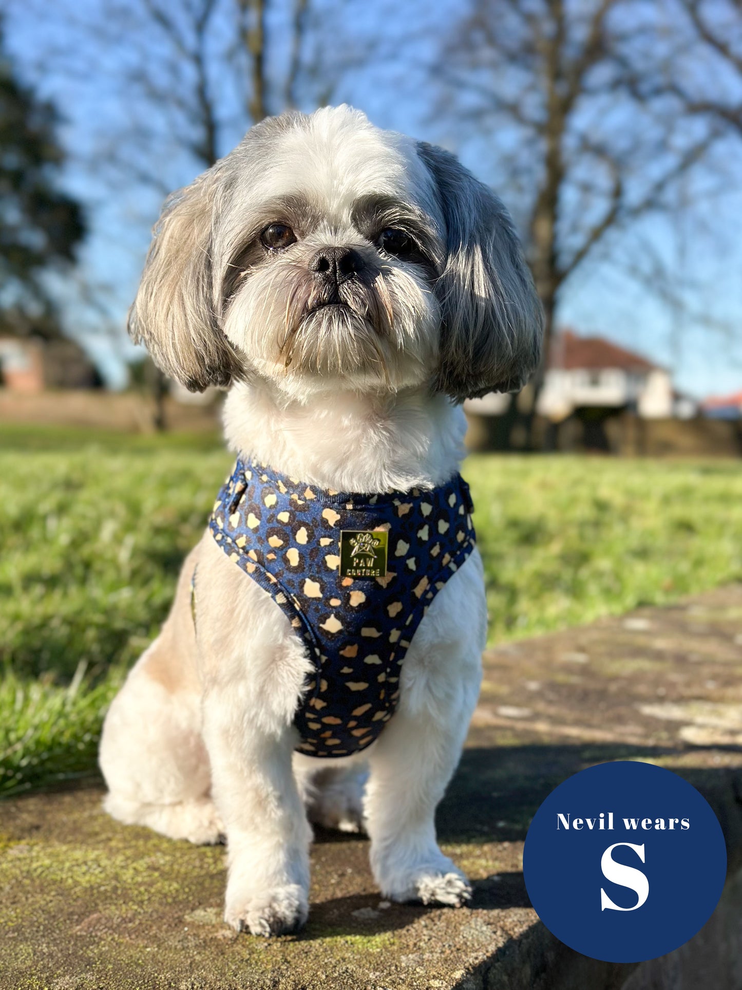 Sapphire Safari Deluxe Five Piece Walkies Bundle - Save £20