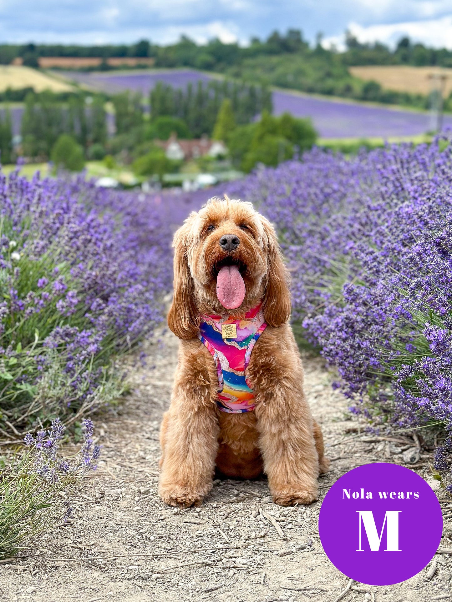 Rainbow Agate Deluxe Adjustable Harness