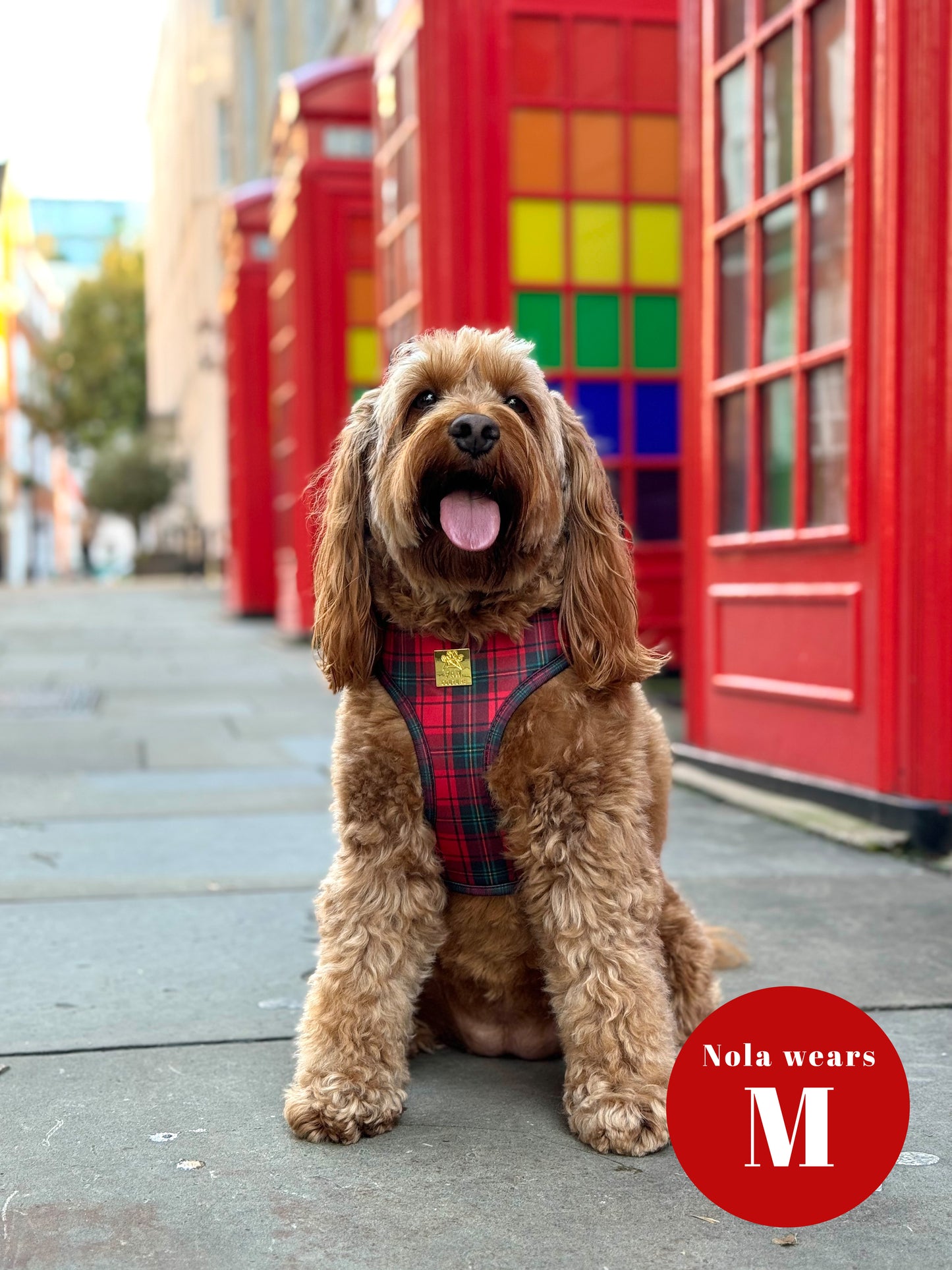 Tartan Deluxe Adjustable Harness