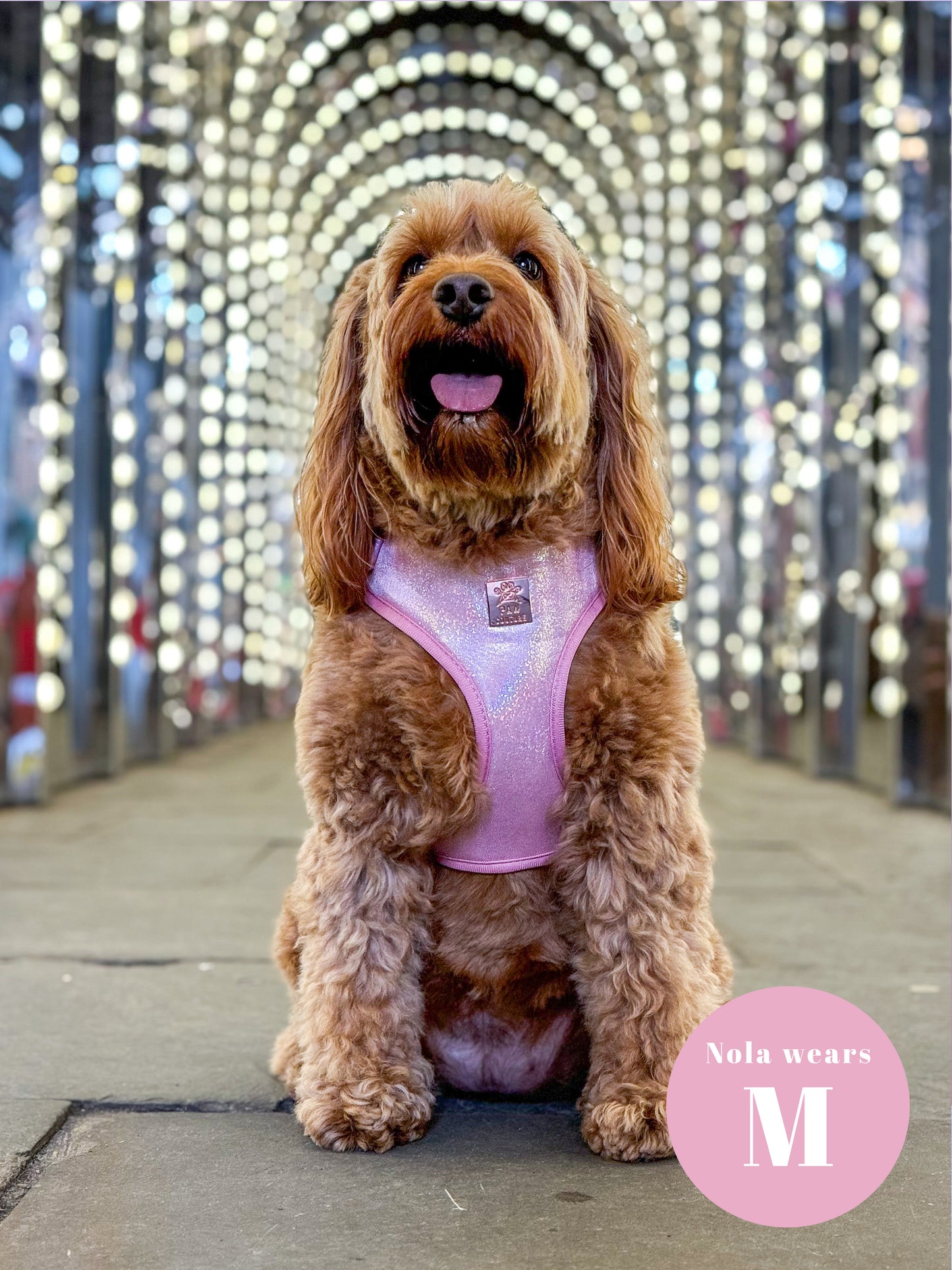Pink Champagne Party Deluxe Adjustable Harness