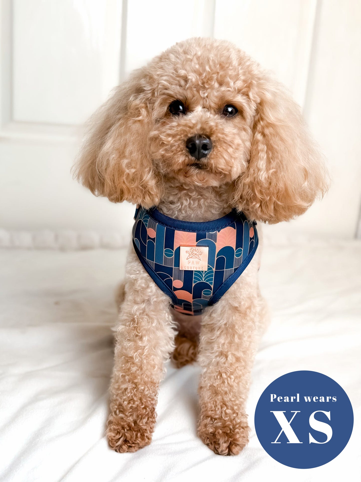 Empire Deluxe Five Piece Walkies Bundle - Save £20