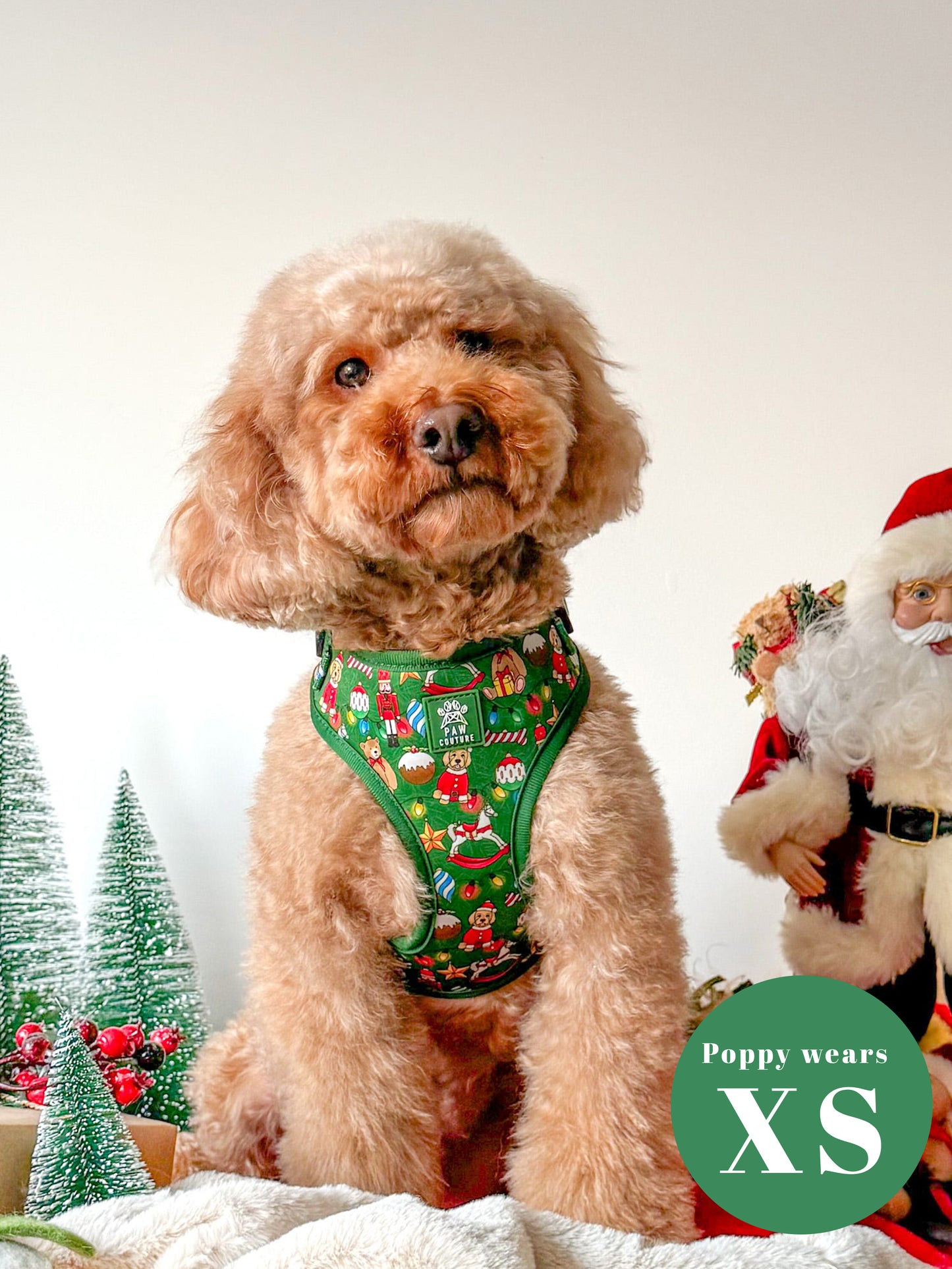 O' Christmas Tree Adjustable Harness & Lead Bundle