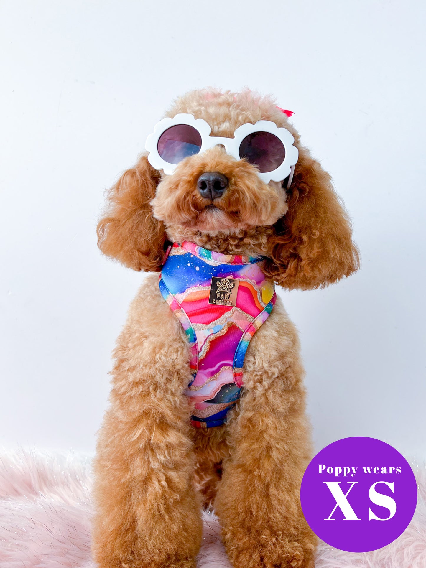 Rainbow Agate Deluxe Adjustable Harness