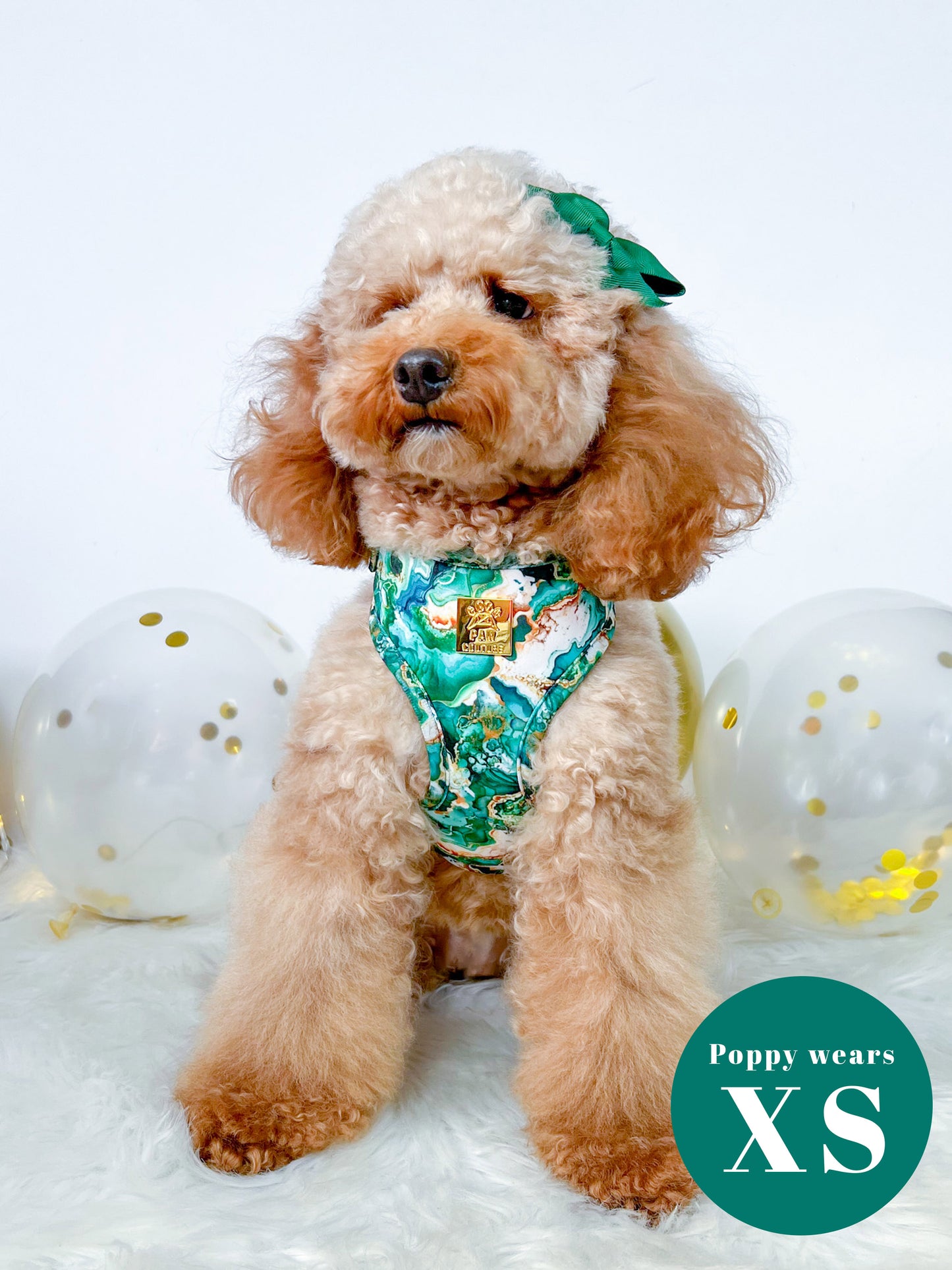 Geode Deluxe Adjustable Harness