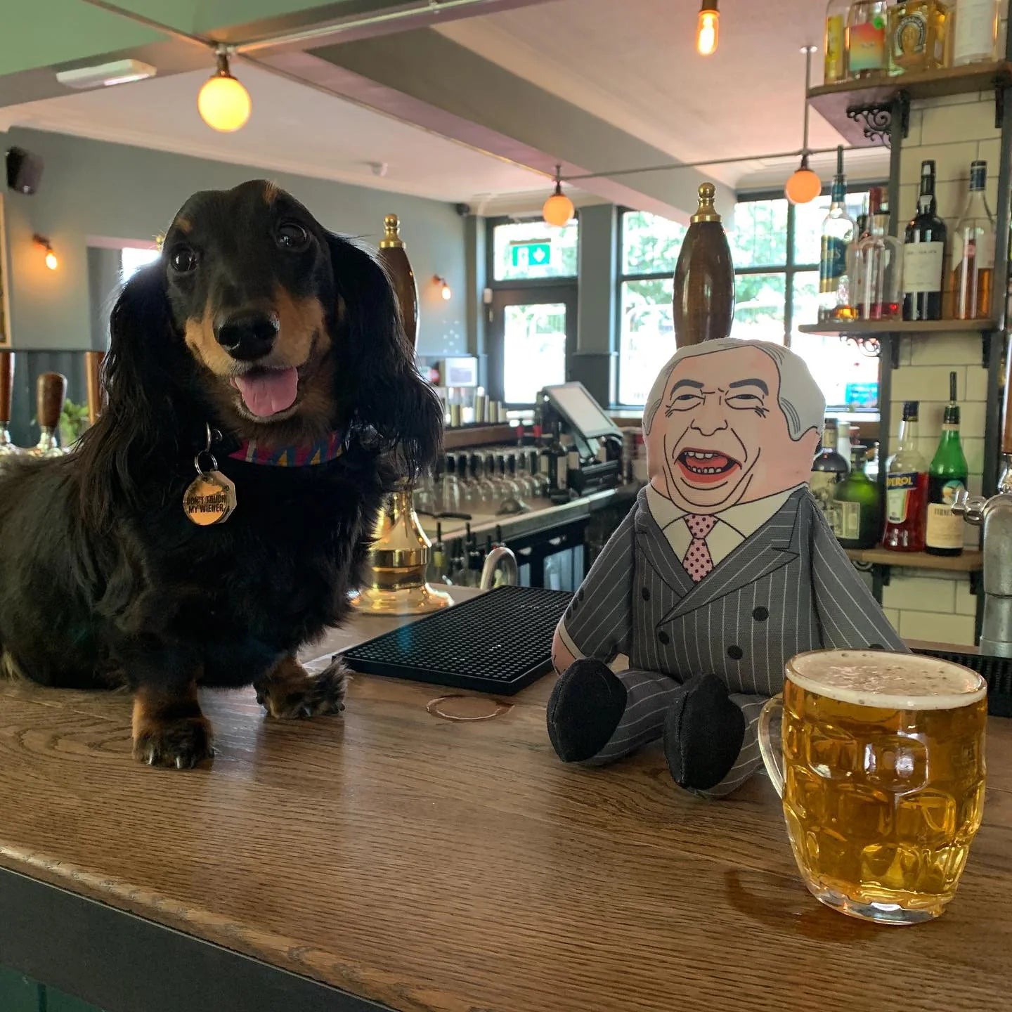 Nigel Farage Dog Toy by Pet Hates Toys