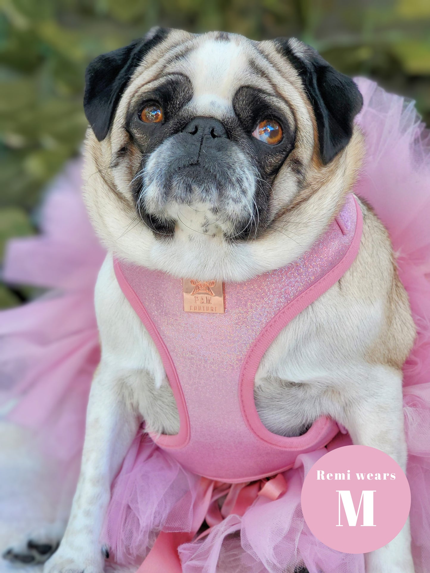Pink Champagne Party Deluxe Adjustable Harness