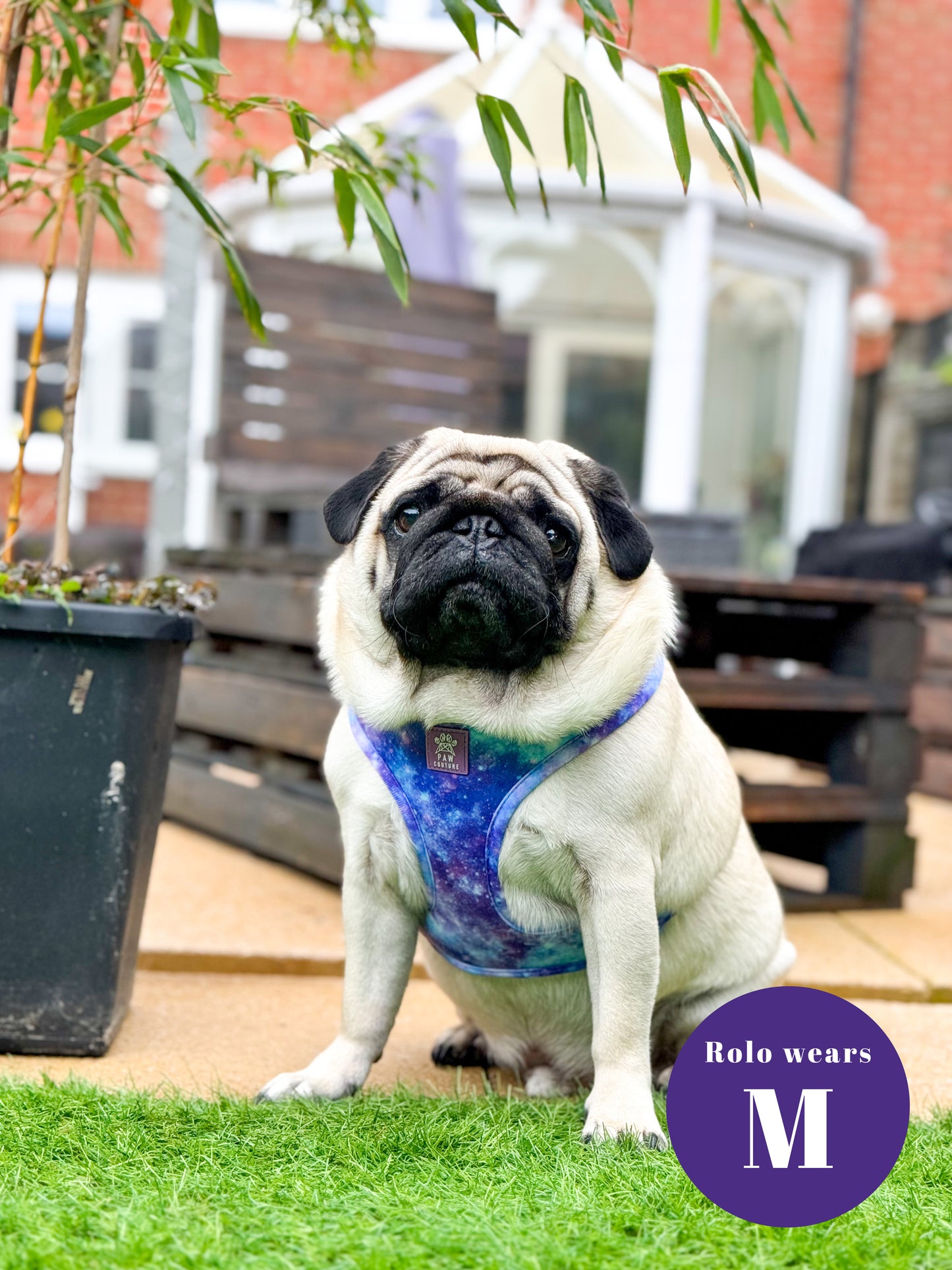 Galaxy Five Piece Walkies Bundle - Save £25