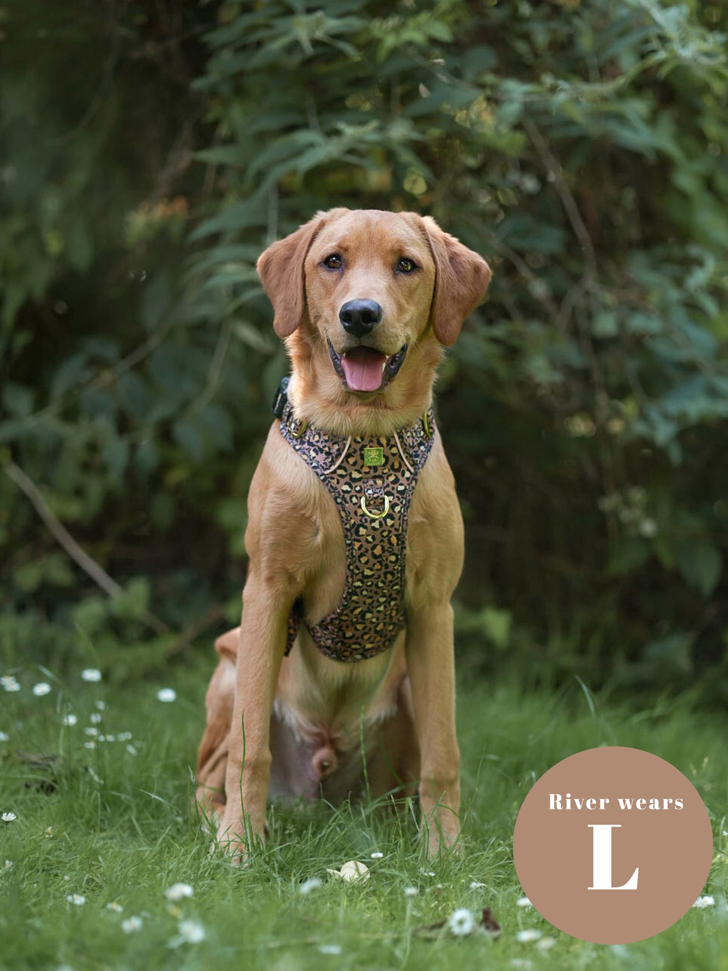 Tan Safari Deluxe TrailBlazer Harness