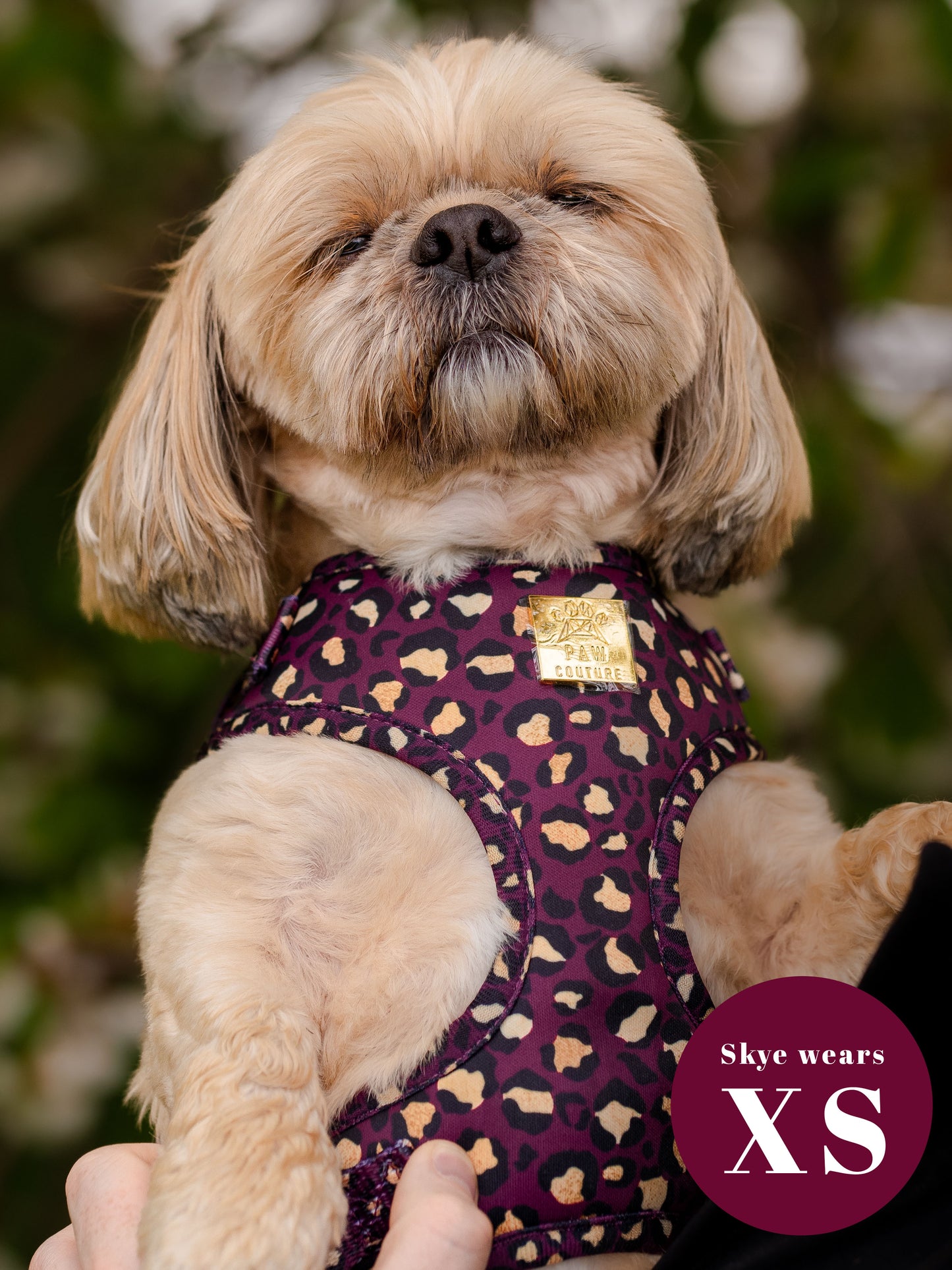 Amethyst Safari Deluxe Adjustable Harness