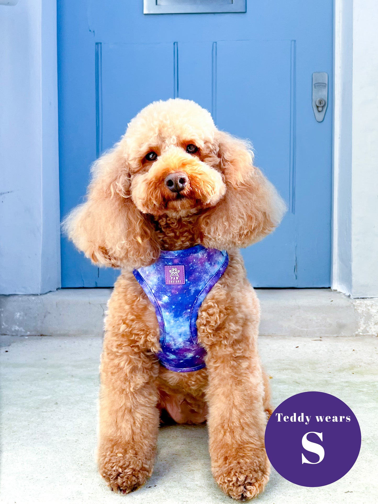 Galaxy Five Piece Walkies Bundle - Save £25