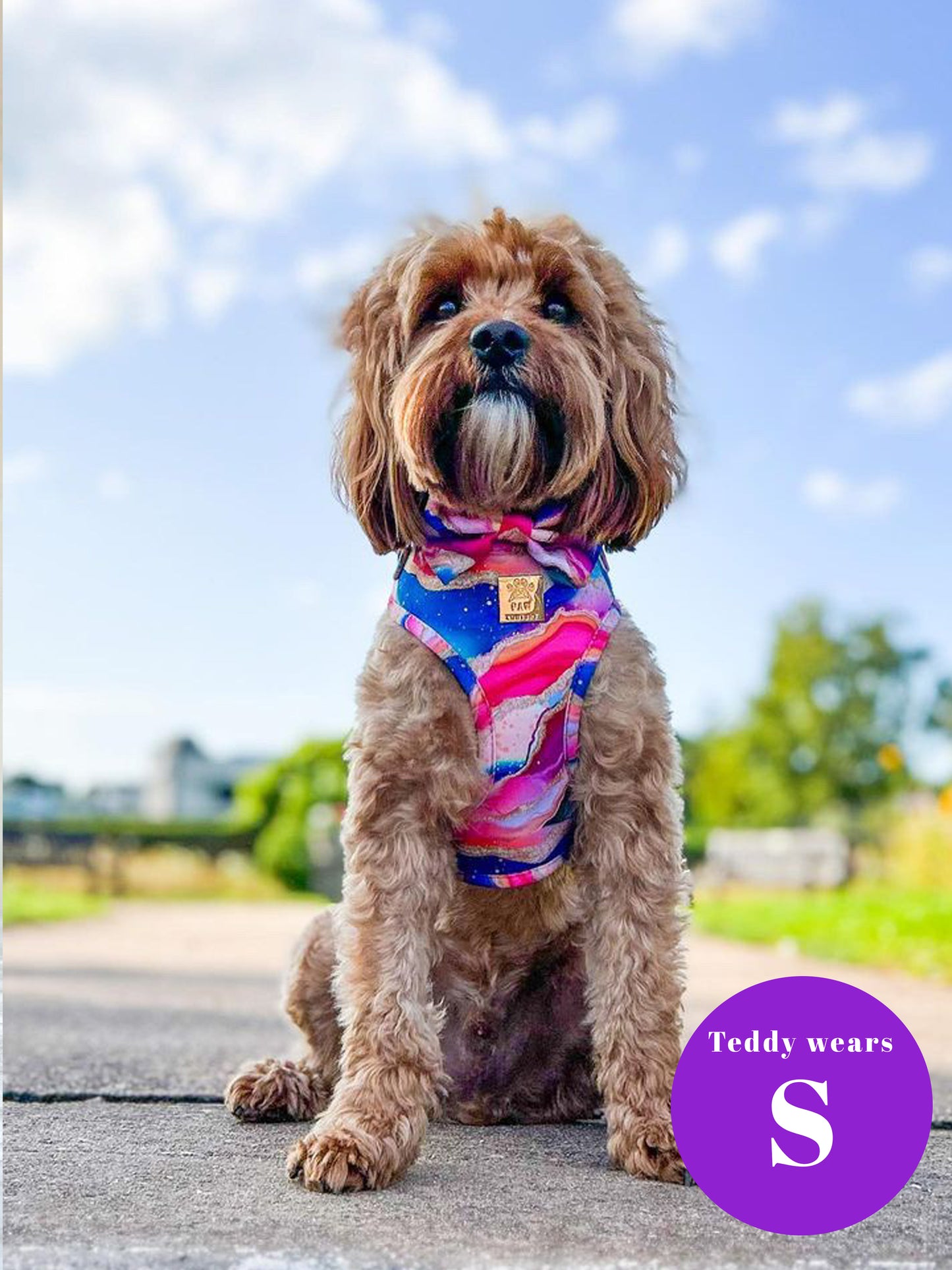 Rainbow Agate Deluxe Adjustable Harness