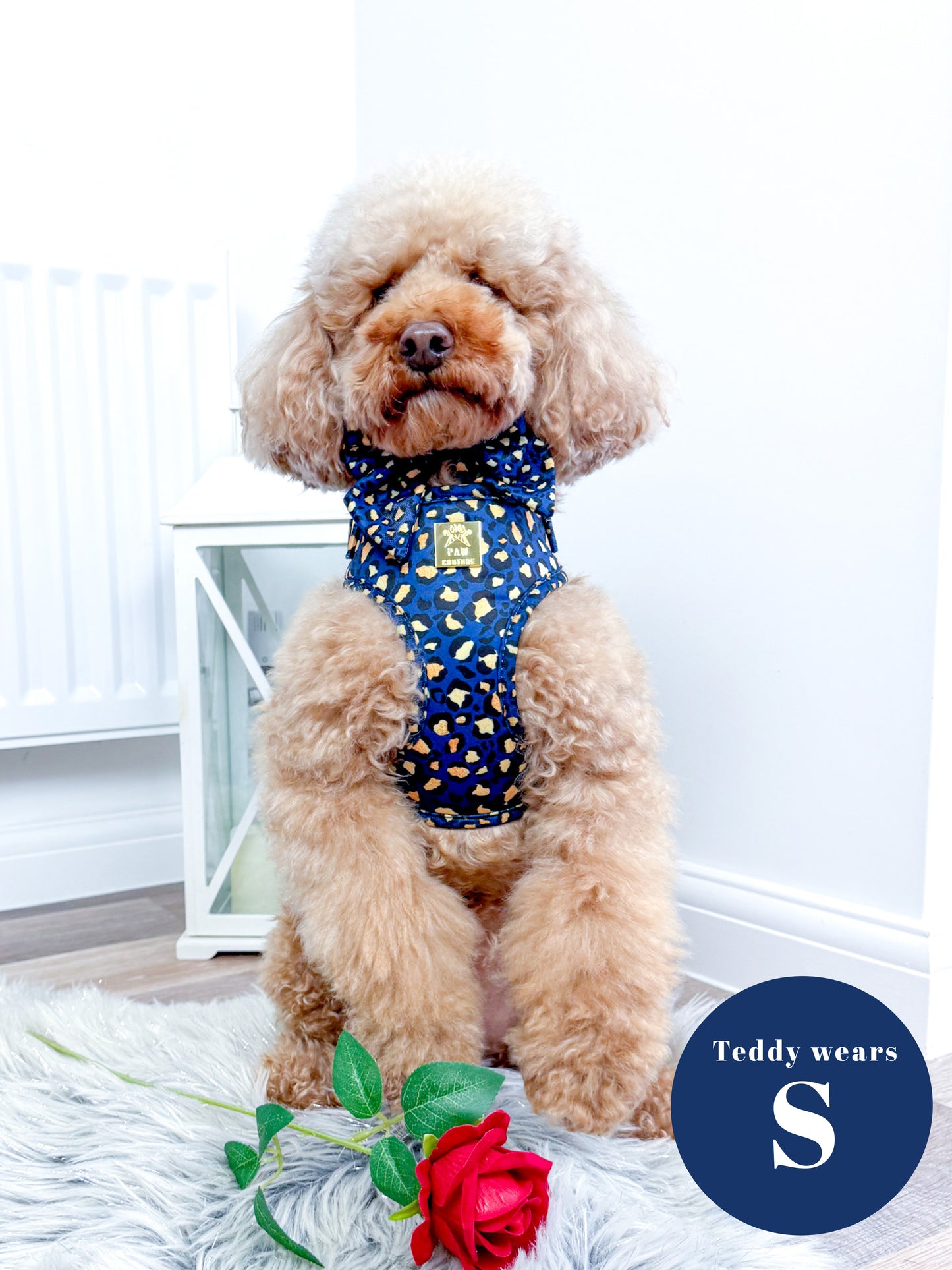 Sapphire Safari Deluxe Five Piece Walkies Bundle - Save £20