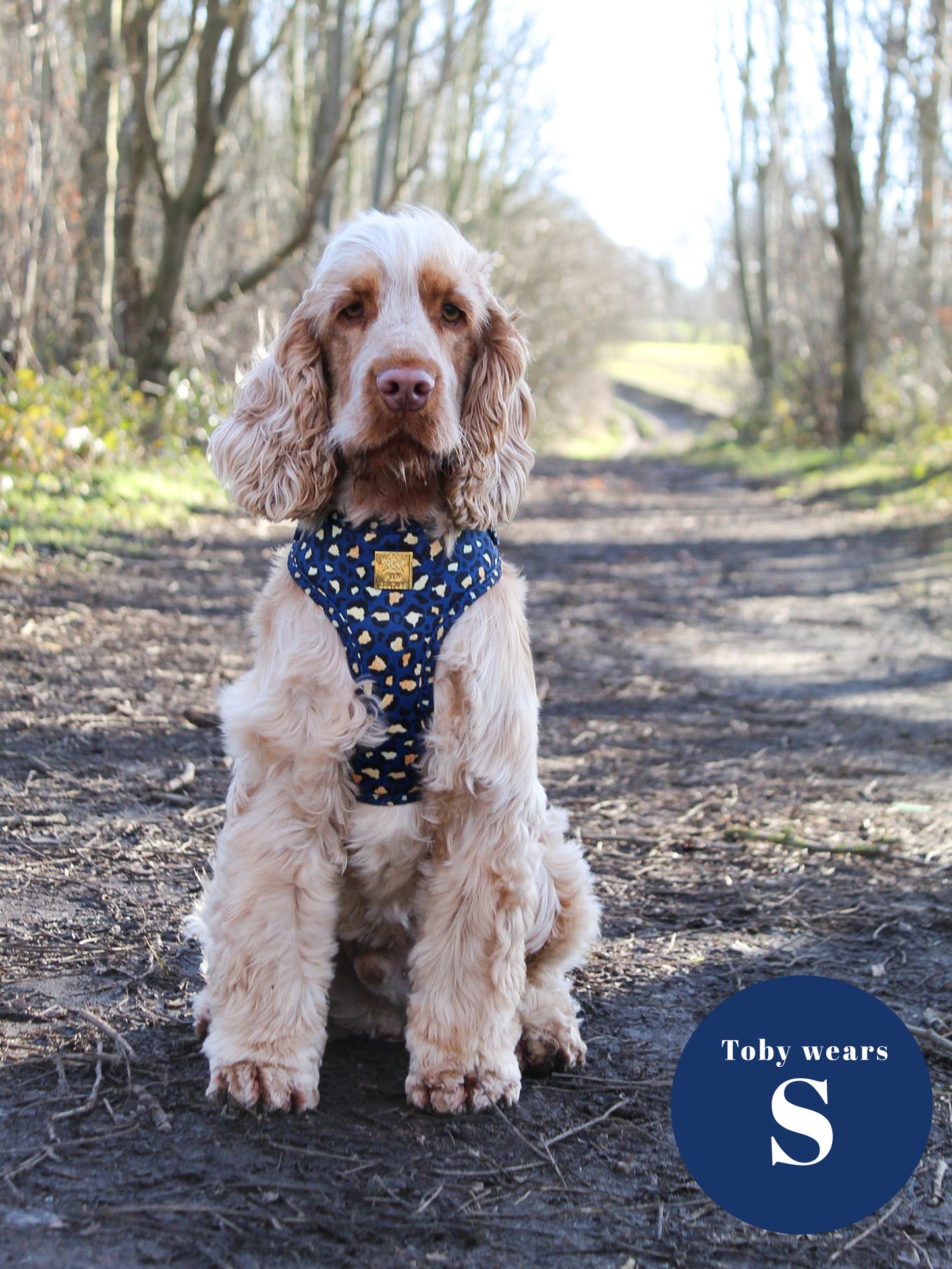 Sapphire Safari Deluxe Five Piece Walkies Bundle - Save £20