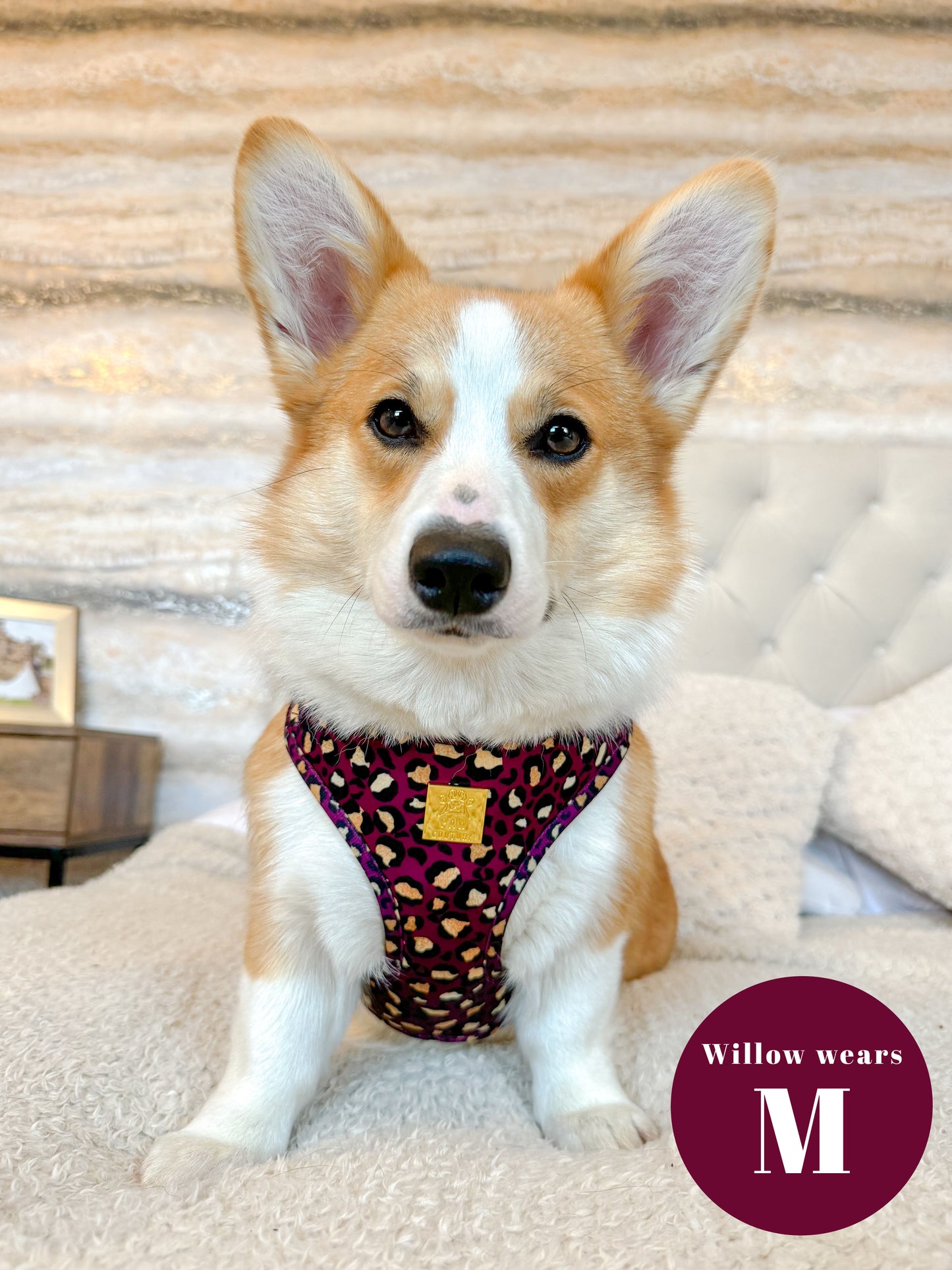 Amethyst Safari Deluxe Adjustable Harness