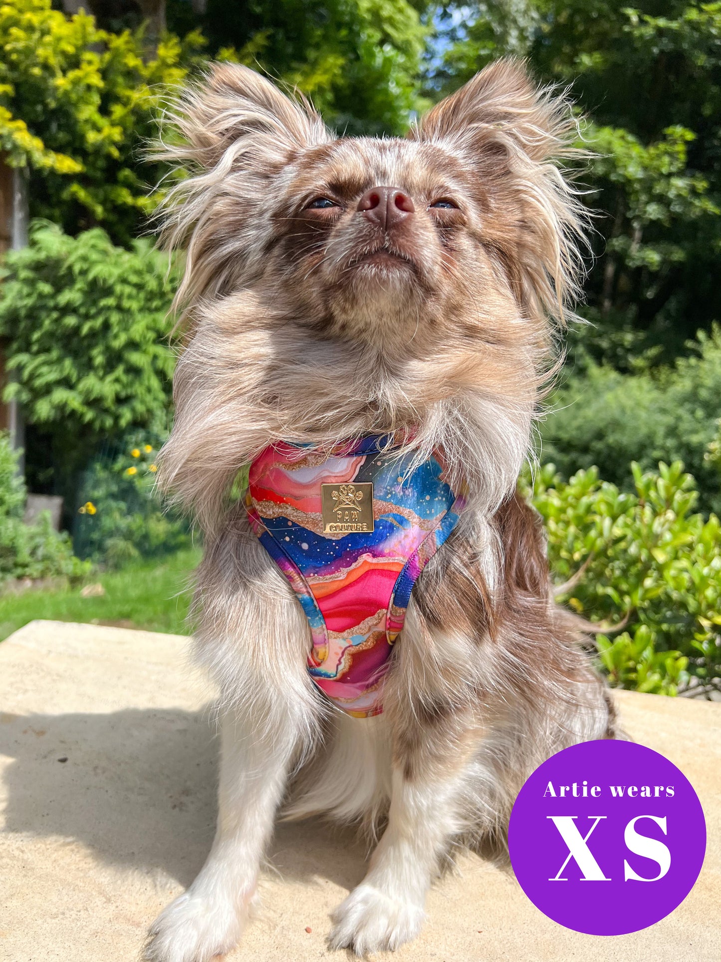 Rainbow Agate Deluxe Adjustable Harness