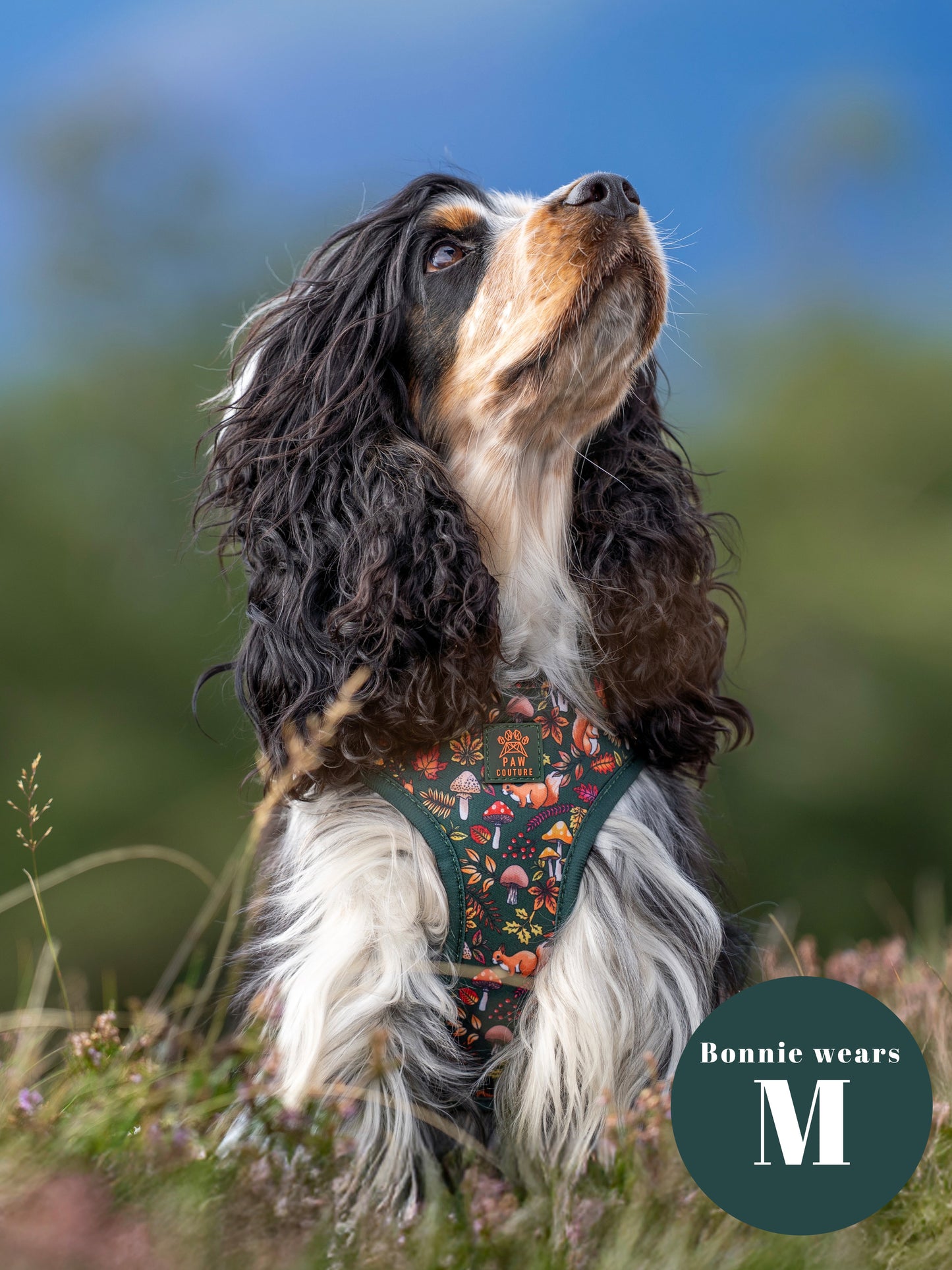 Into The Woods Adjustable Harness & Lead Bundle