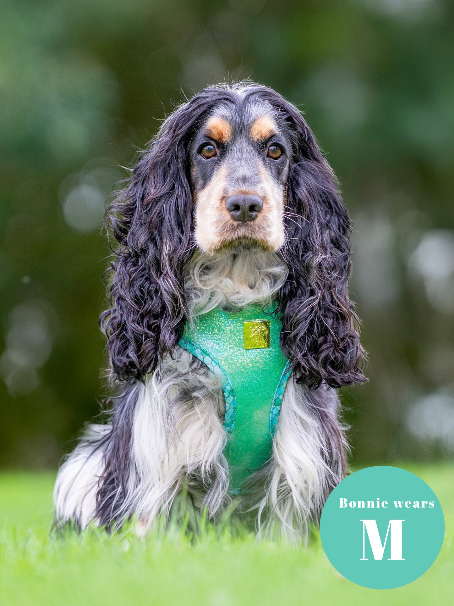 Fantasy Deluxe Adjustable Harness & Lead Bundle