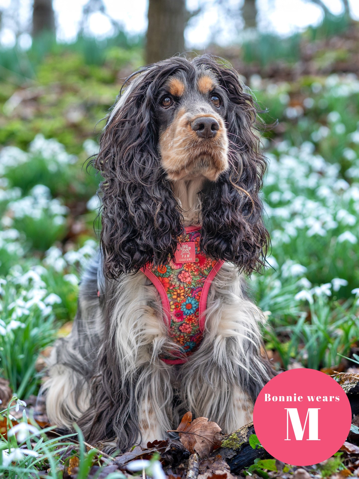 Floral Fiesta Adjustable Harness & Lead Bundle