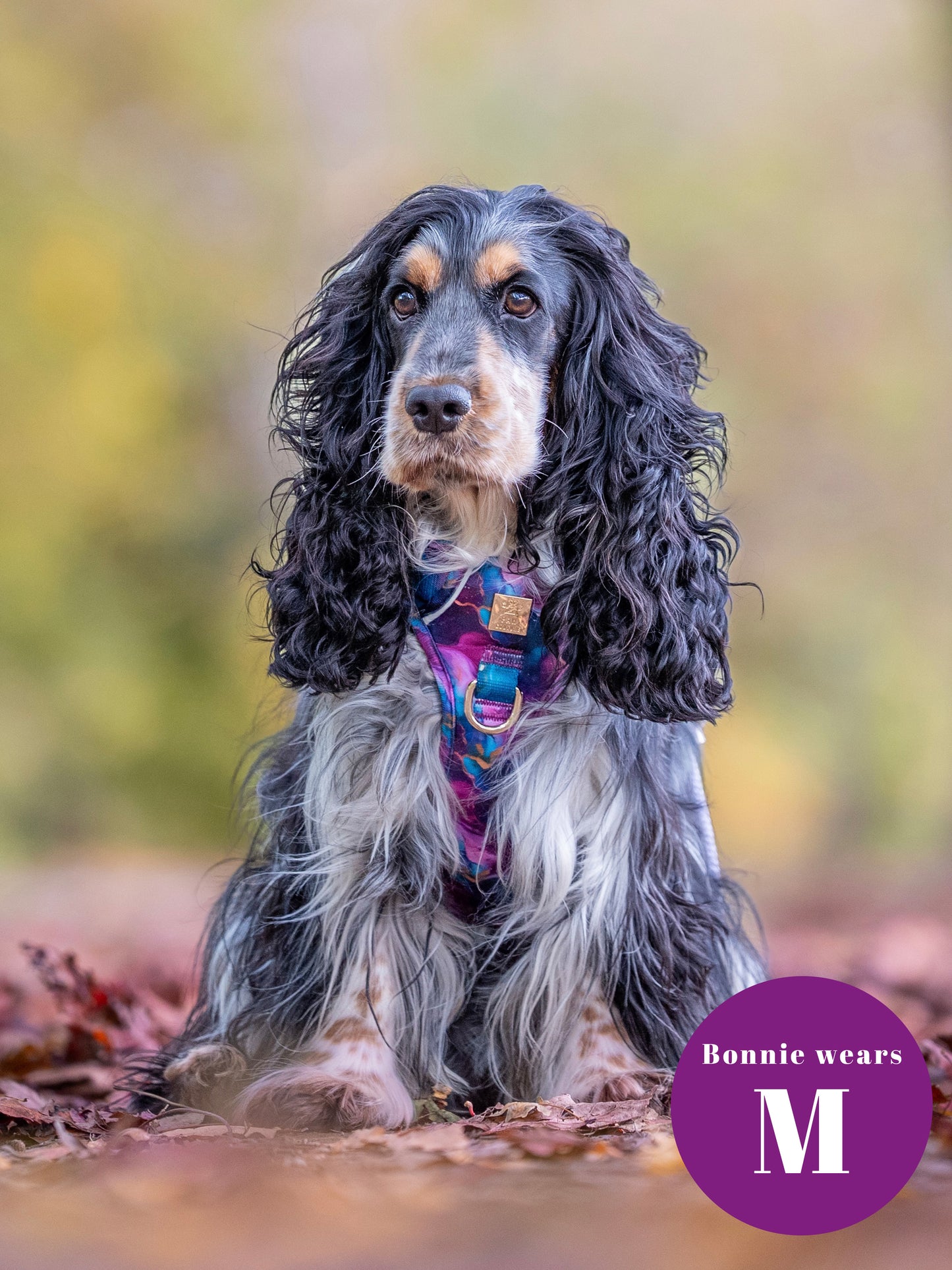 Cosmos Deluxe Five Piece Walkies Bundle - Save £20