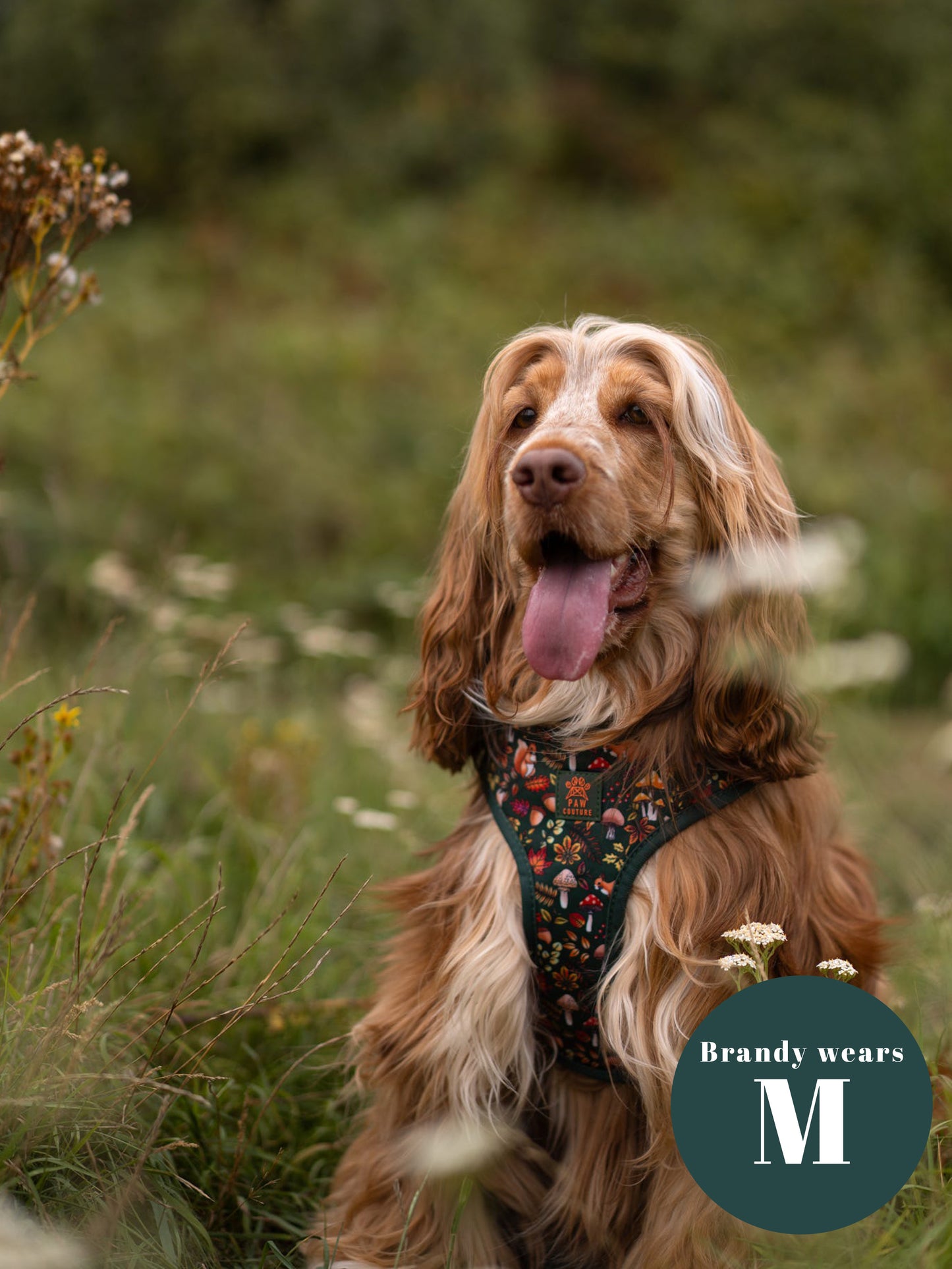 Into The Woods Adjustable Harness & Lead Bundle