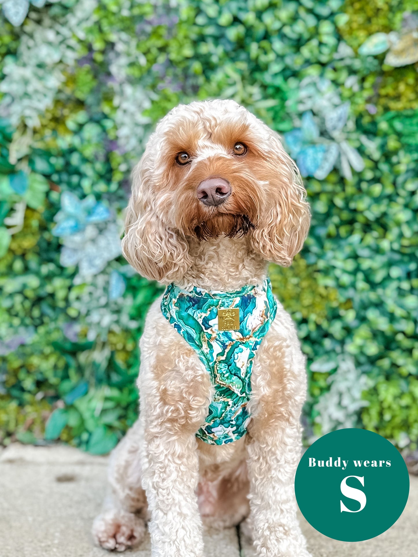 Geode Deluxe Adjustable Harness