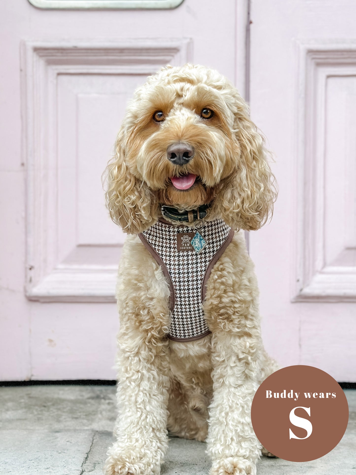 Country Houndstooth Adjustable Harness & Lead Bundle