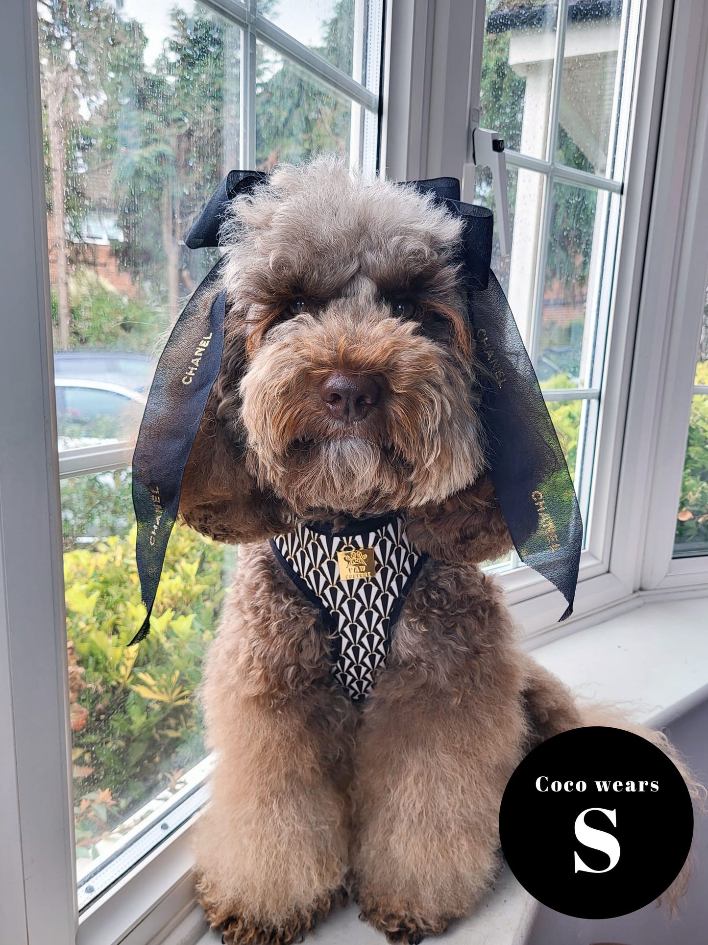 Gatsby Deluxe Adjustable Harness & Lead Bundle