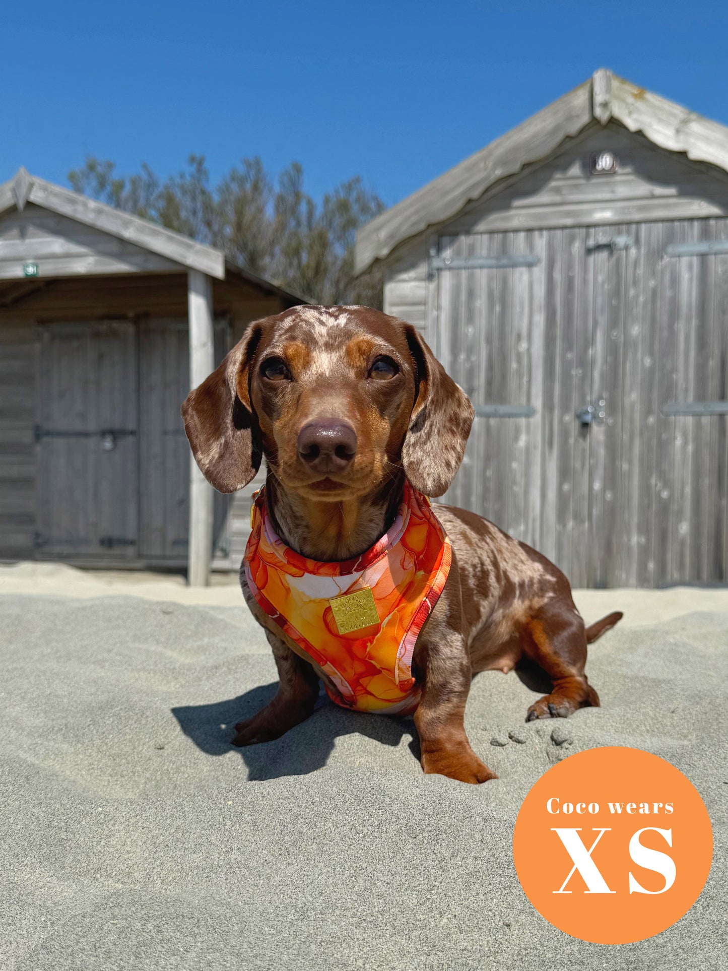 Sunset Agate  Deluxe Adjustable Harness & Lead Bundle