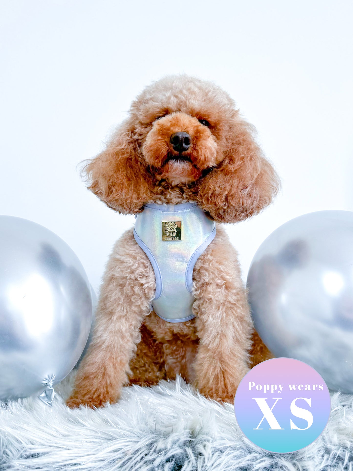 Disco Deluxe Iridescent Leatherette Adjustable Harness & Lead Bundle