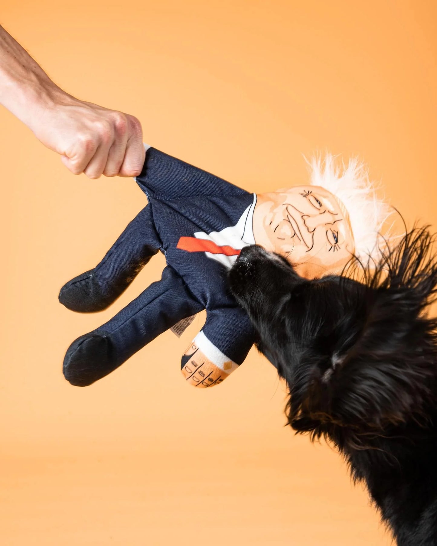 Donald Trump Dog Toy by Pet Hates Toys