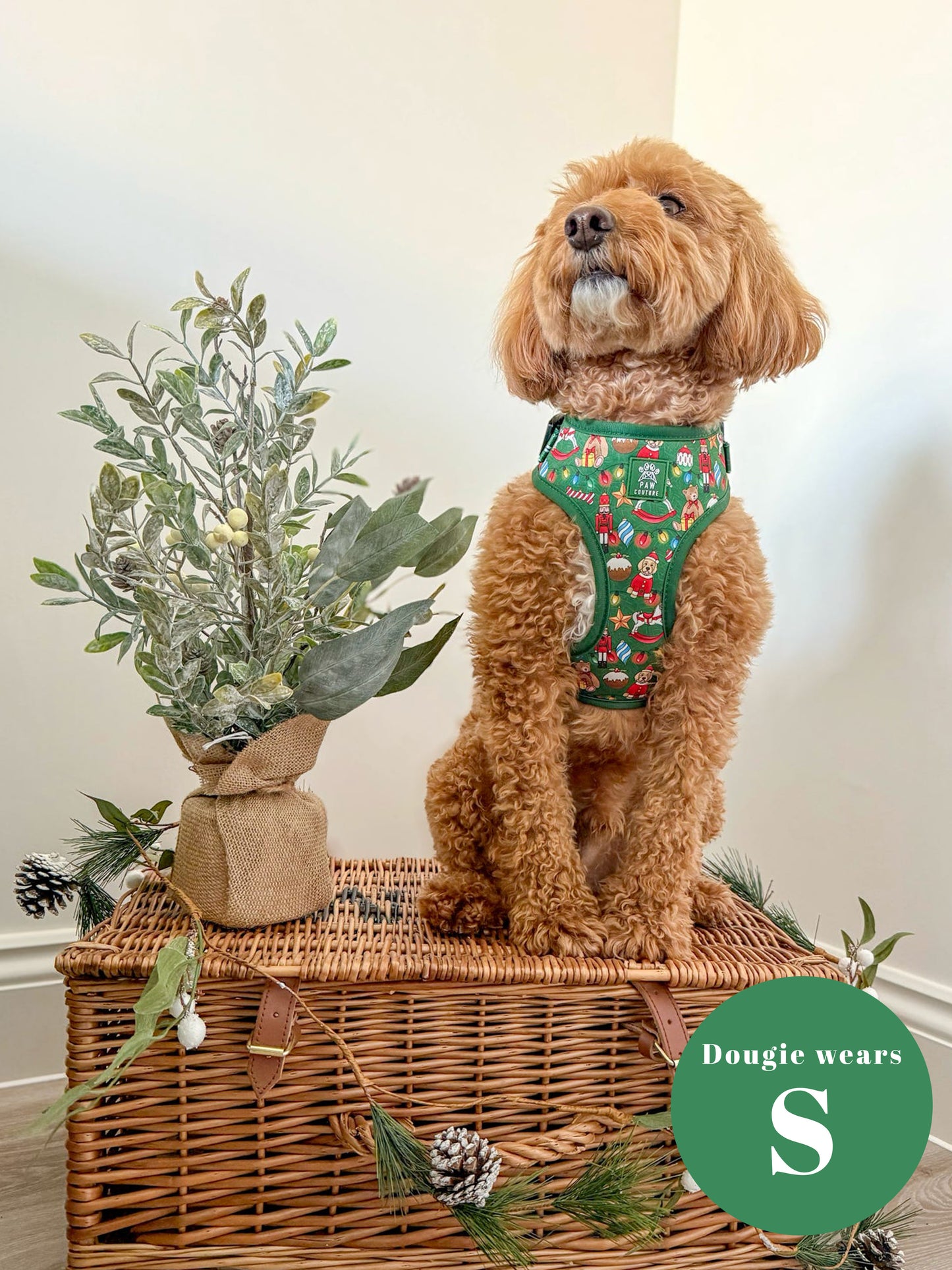 O' Christmas Tree Adjustable Harness & Lead Bundle