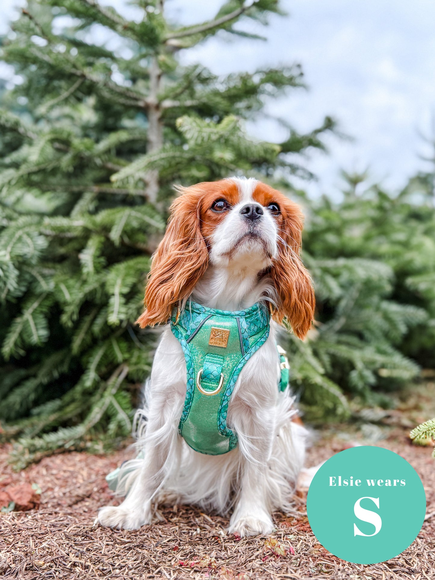 Fantasy Deluxe TrailBlazer Harness
