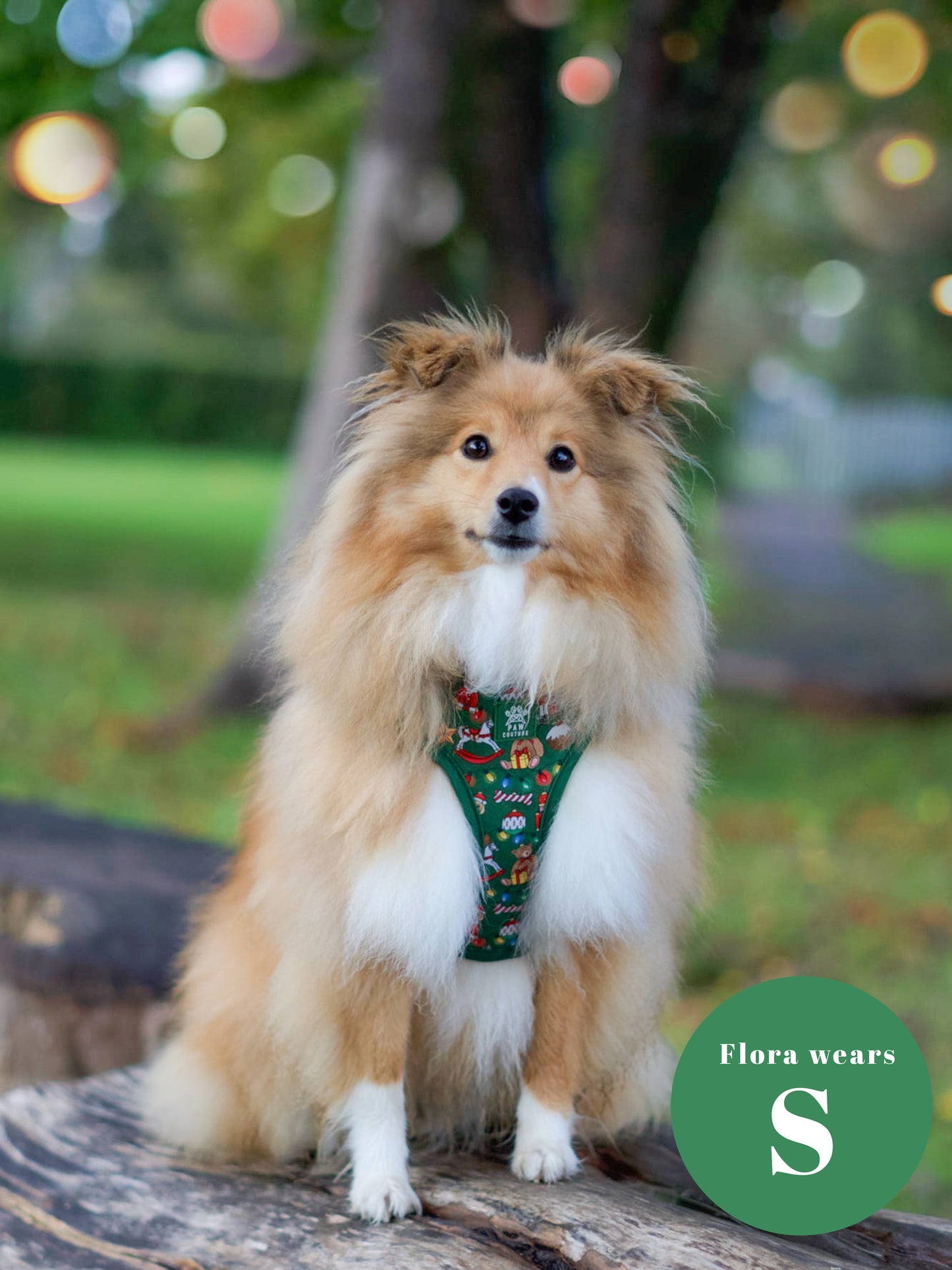 O' Christmas Tree Adjustable Harness & Lead Bundle